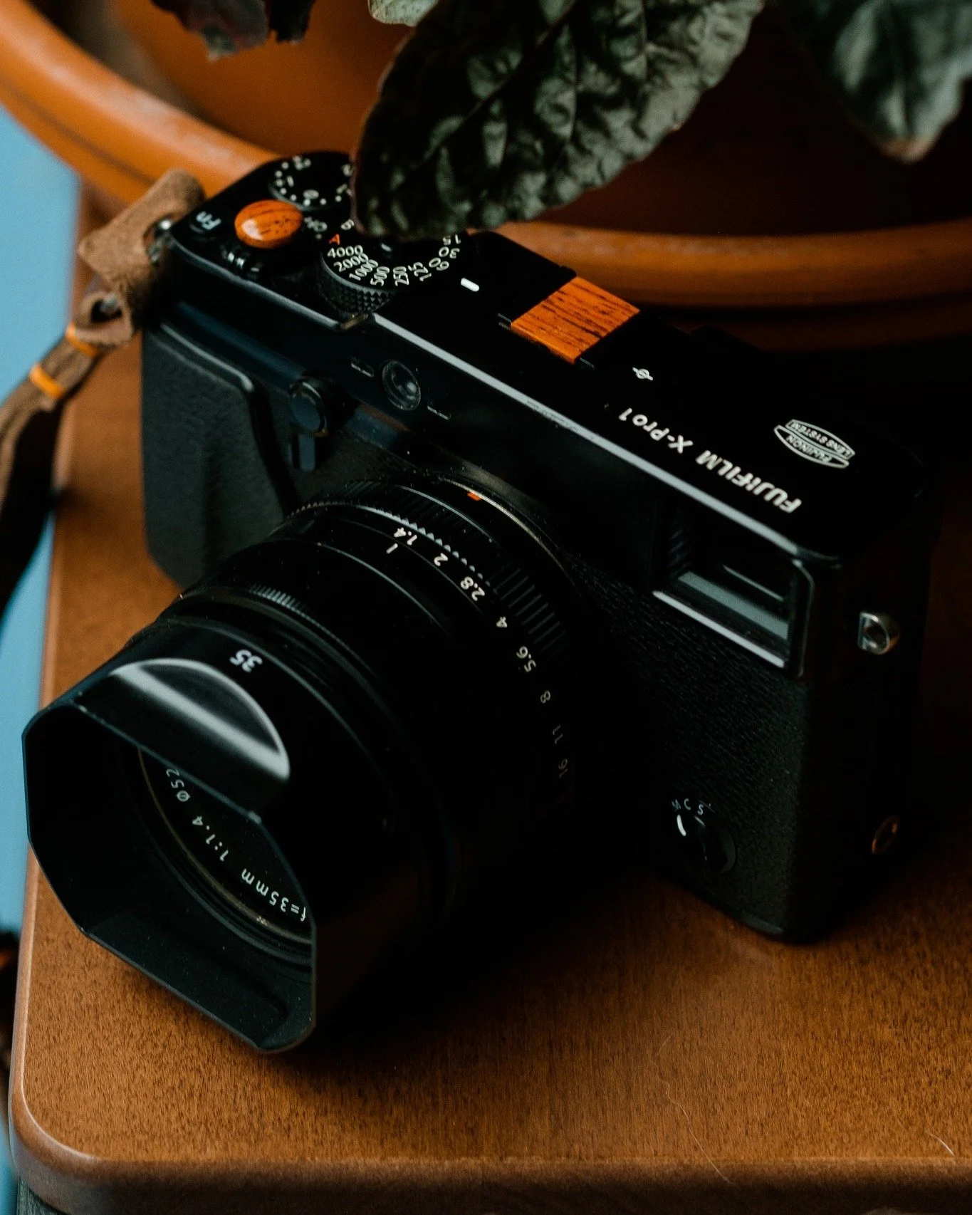 &ldquo;Photography is about finding something interesting in an ordinary place.&rdquo; &mdash; Elliott Erwitt

Nothing is remarkable at first glance.

But that&rsquo;s usually where the photograph lives&mdash;just beneath what we almost ignore.

The 