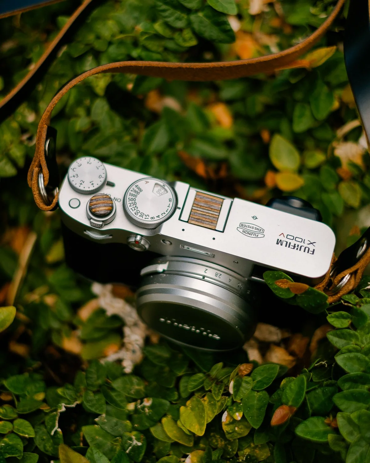 &ldquo;Photography is the memory of our time.&rdquo; &mdash; Sebasti&atilde;o Salgado

Some moments don&rsquo;t ask to be captured.
They just ask to be noticed.

A quiet stretch of green.
A camera resting where it shouldn&rsquo;t be.
A small pause in