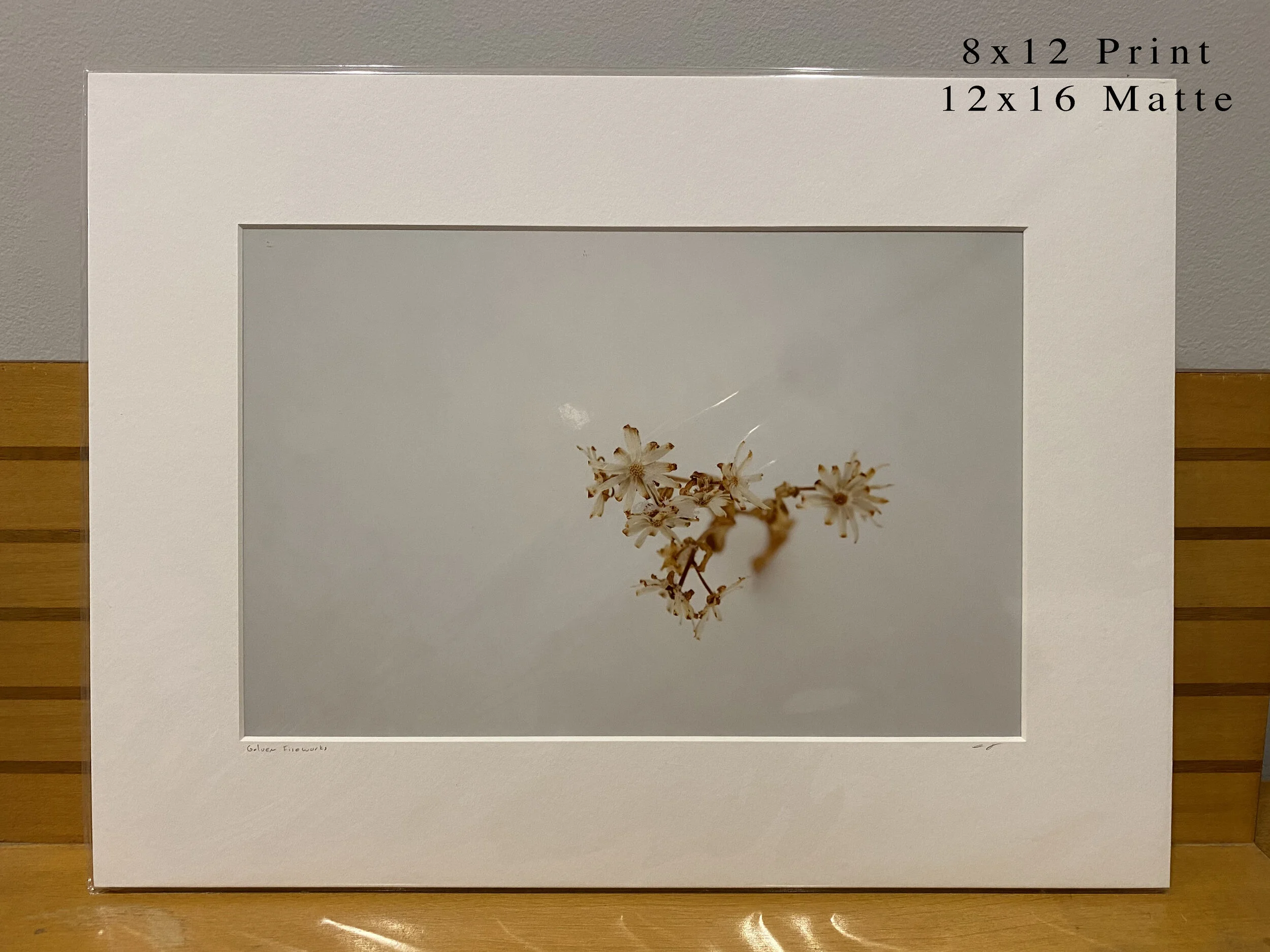 022 - 8x12(0004).JPG