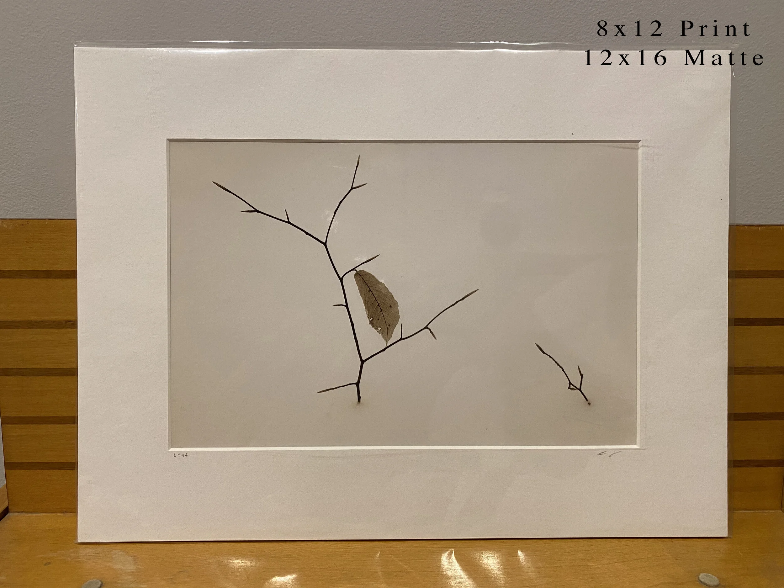 028 - 8x12(0026).JPG