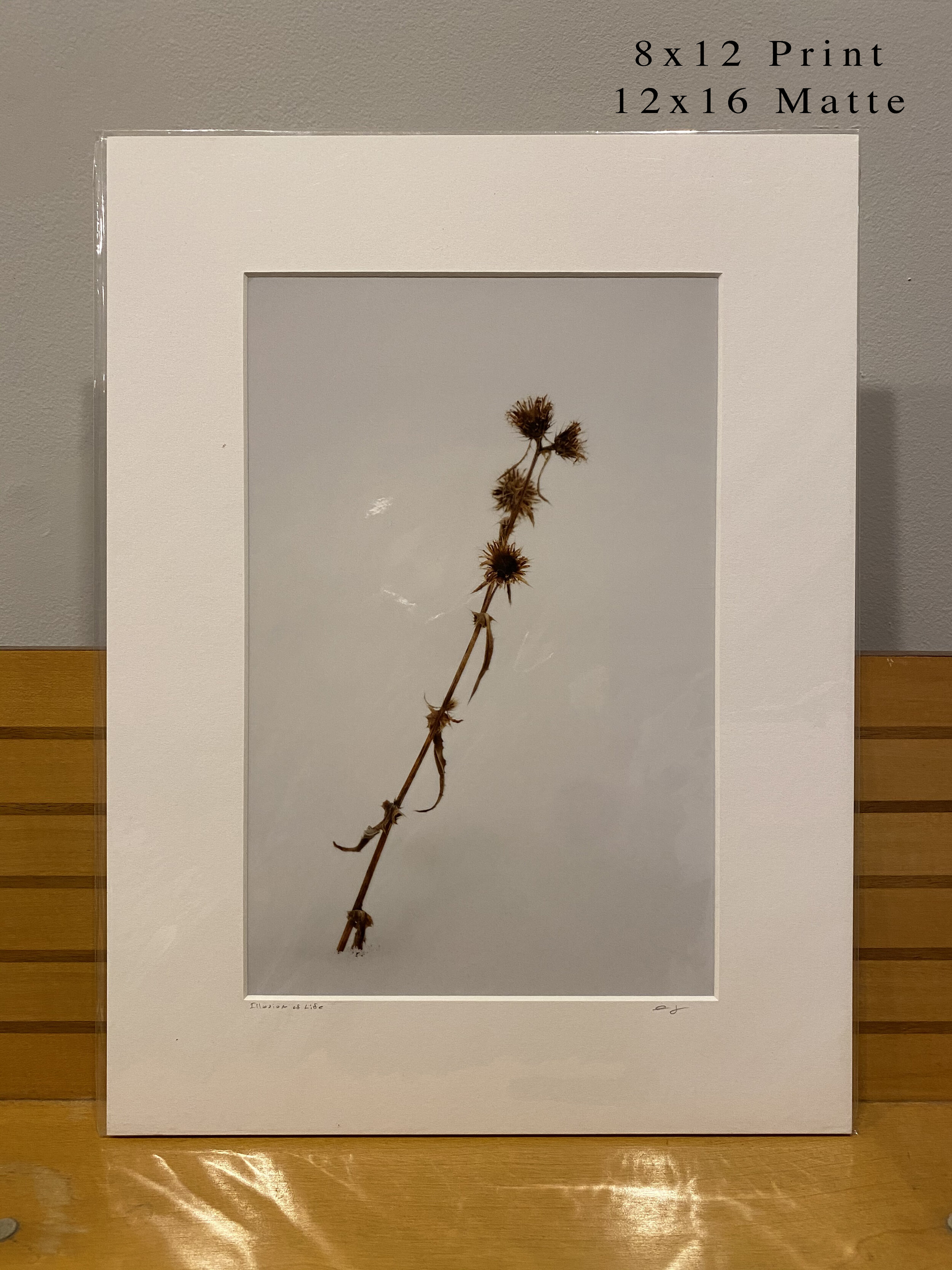 032 - 8x12(0030).JPG