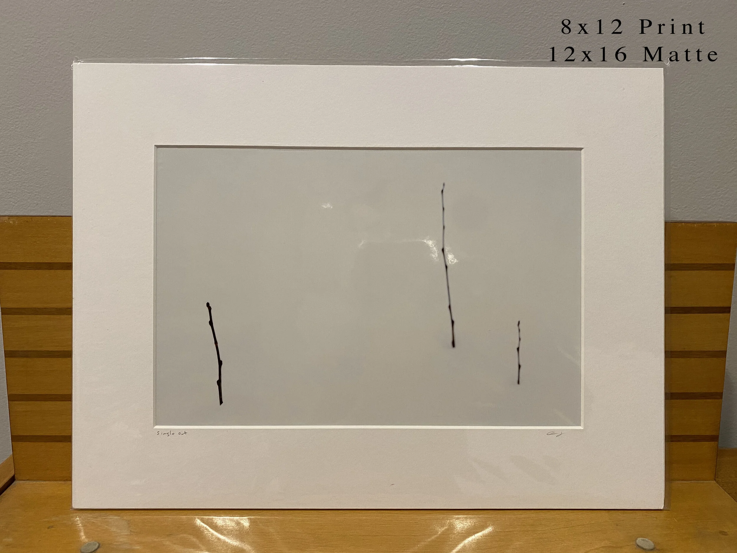 034 - 8x12(0032).JPG