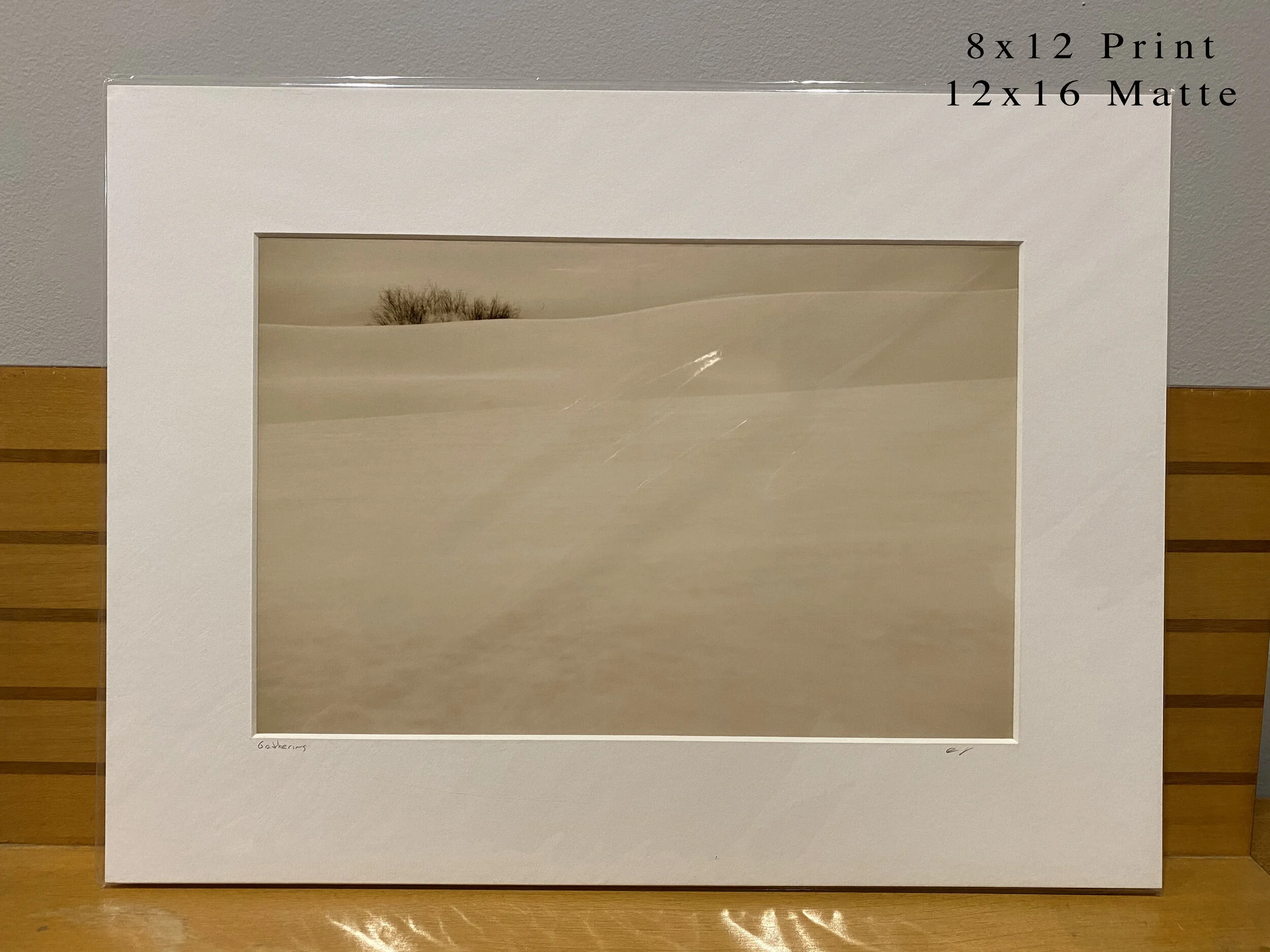 040 - 8x12(0042).JPG