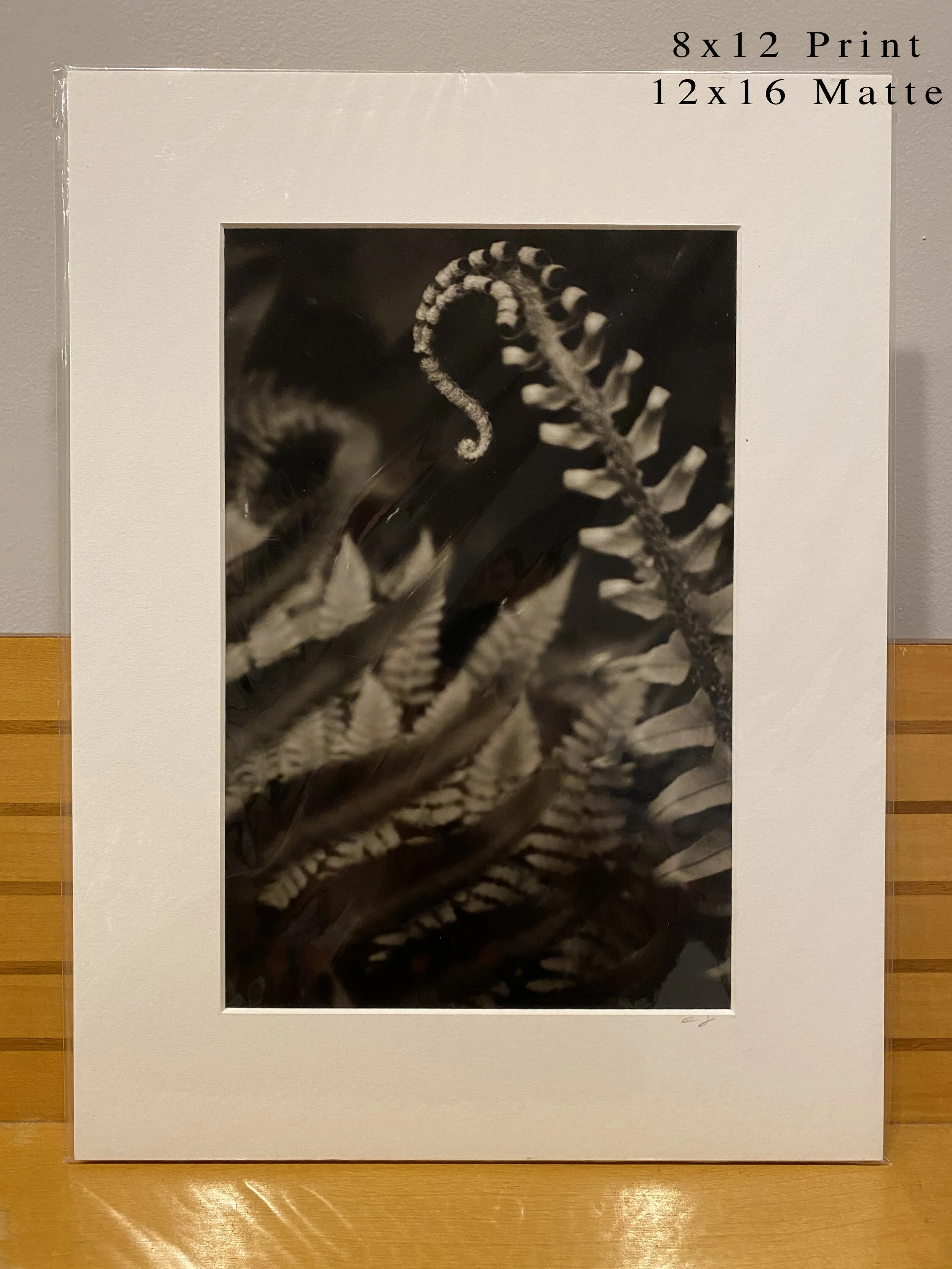 048 - 8x12(0060).JPG