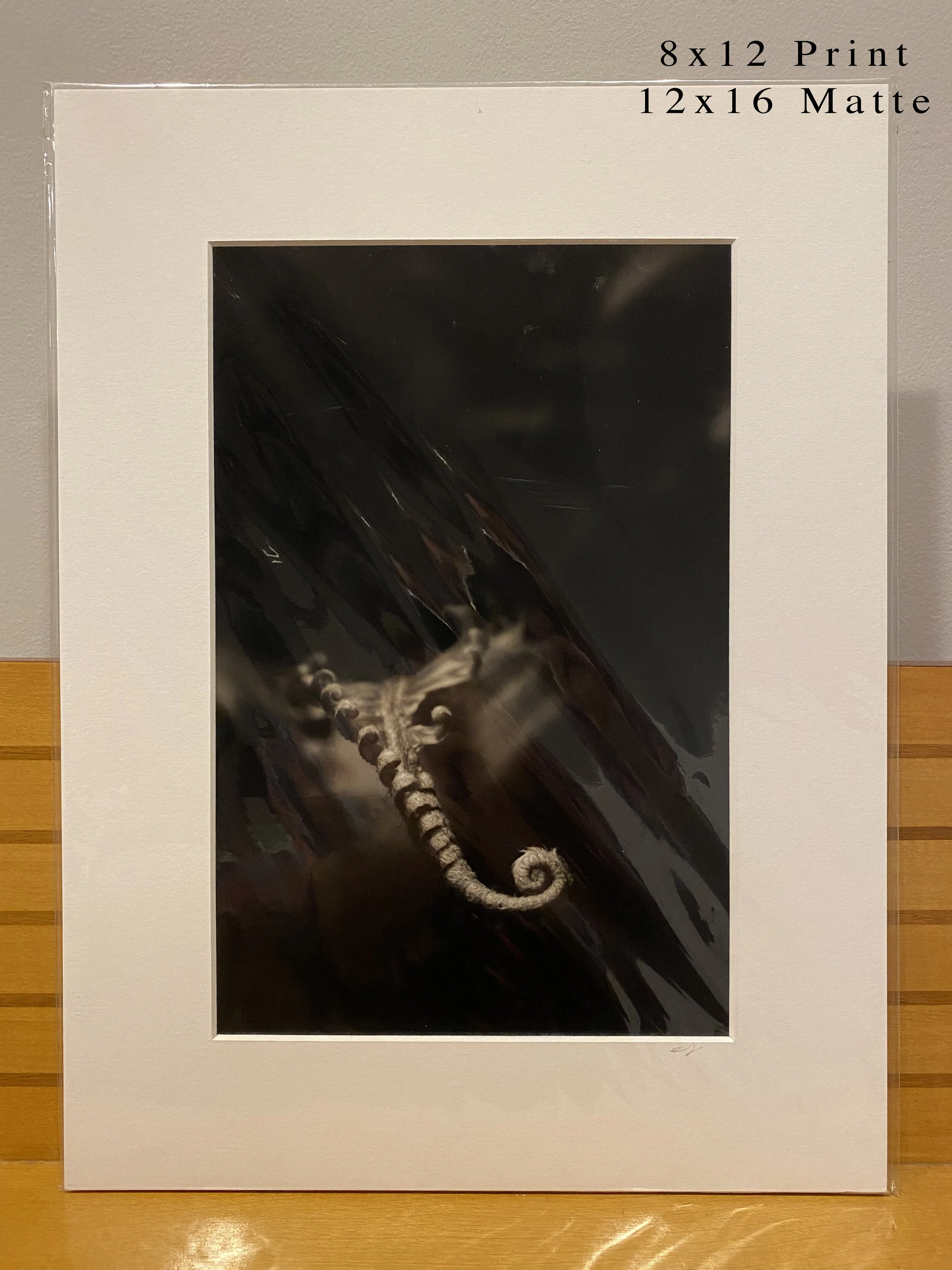 050 - 8x12(0062).JPG