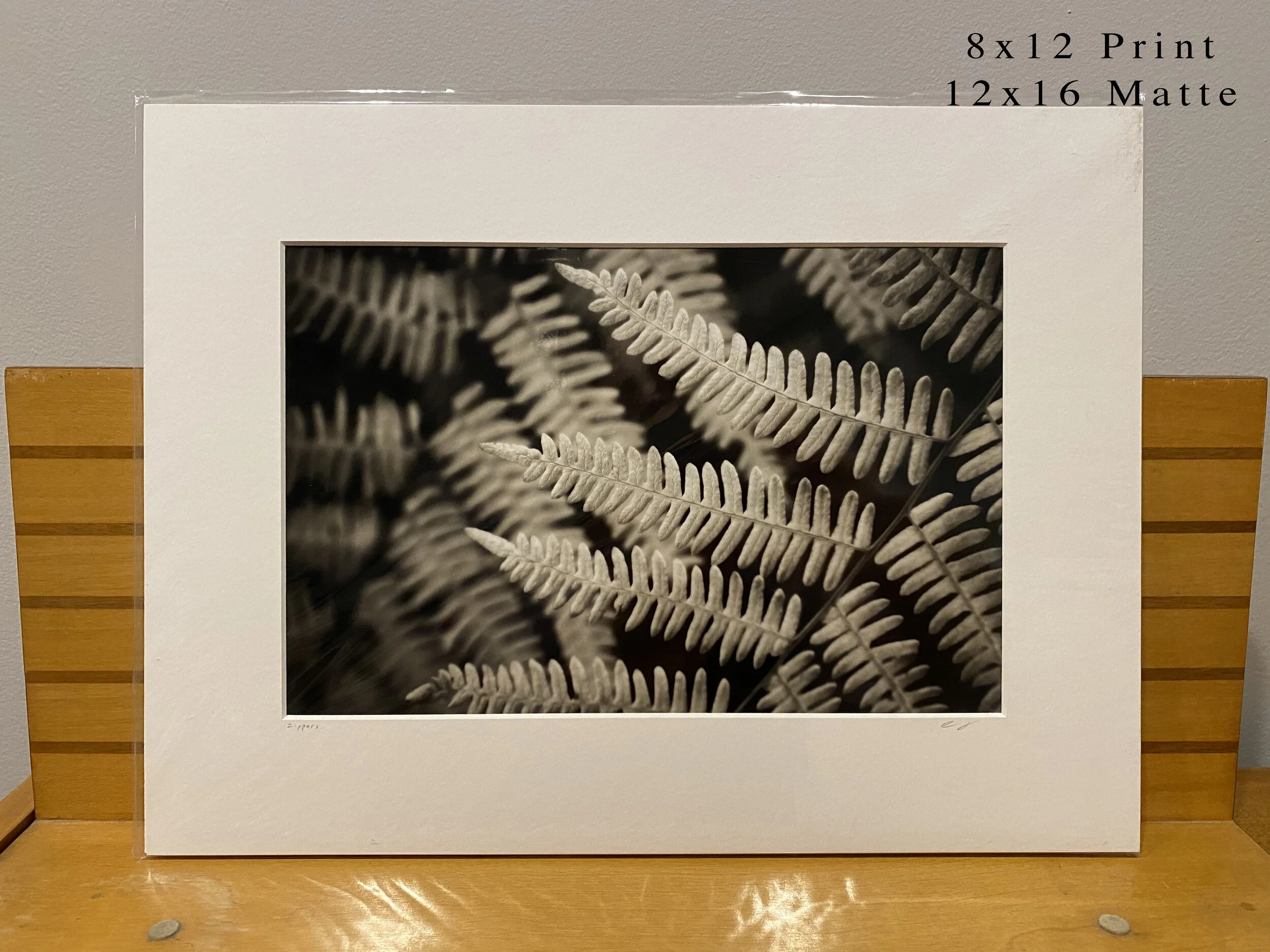 052 - 8x12(0064).JPG