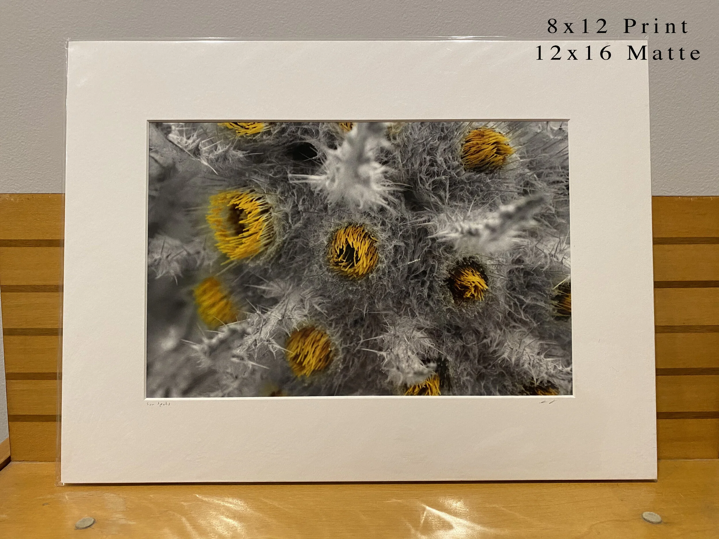 062 - 8x12(0010).JPG