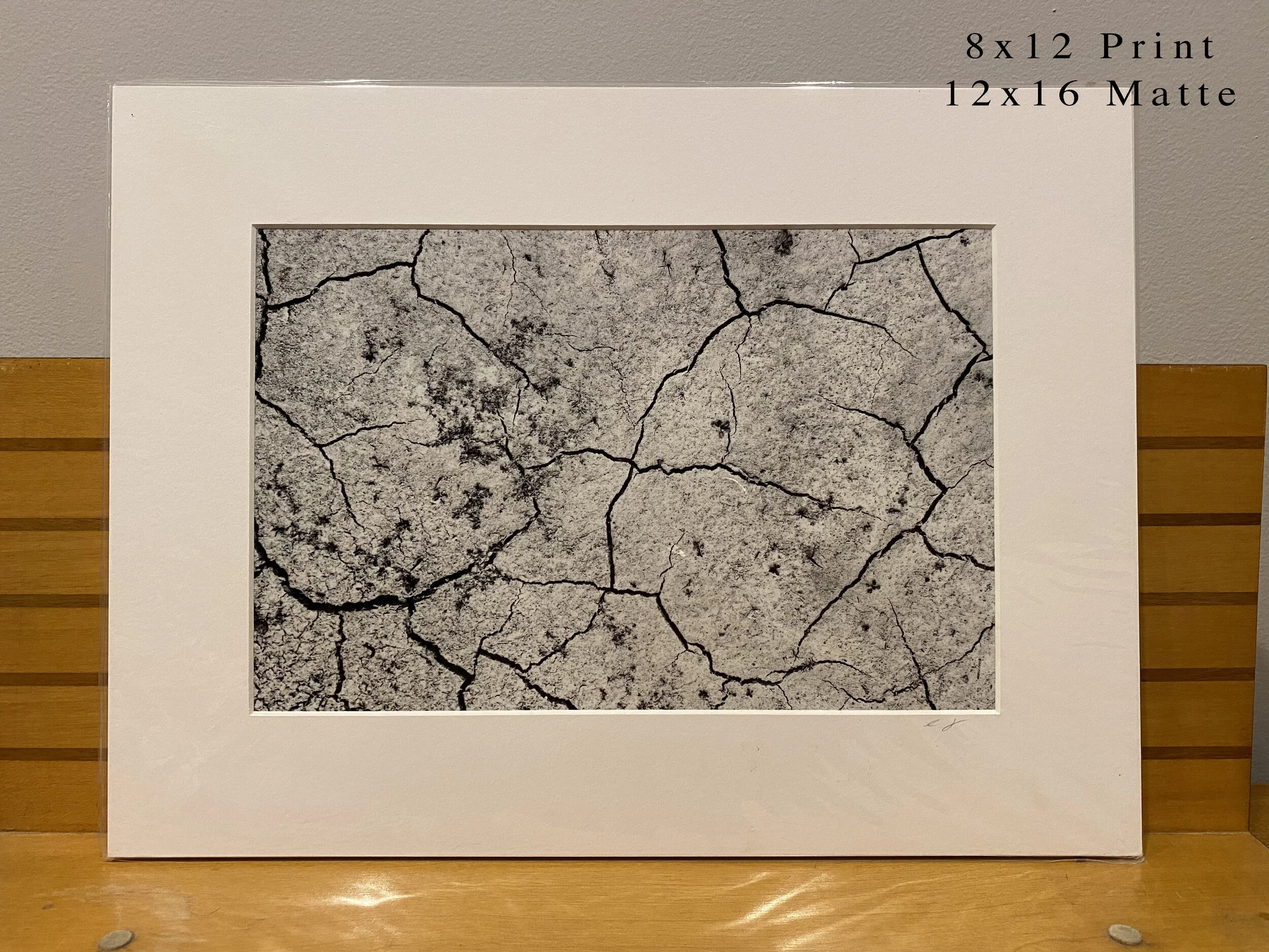 066 - 8x12(0016).JPG