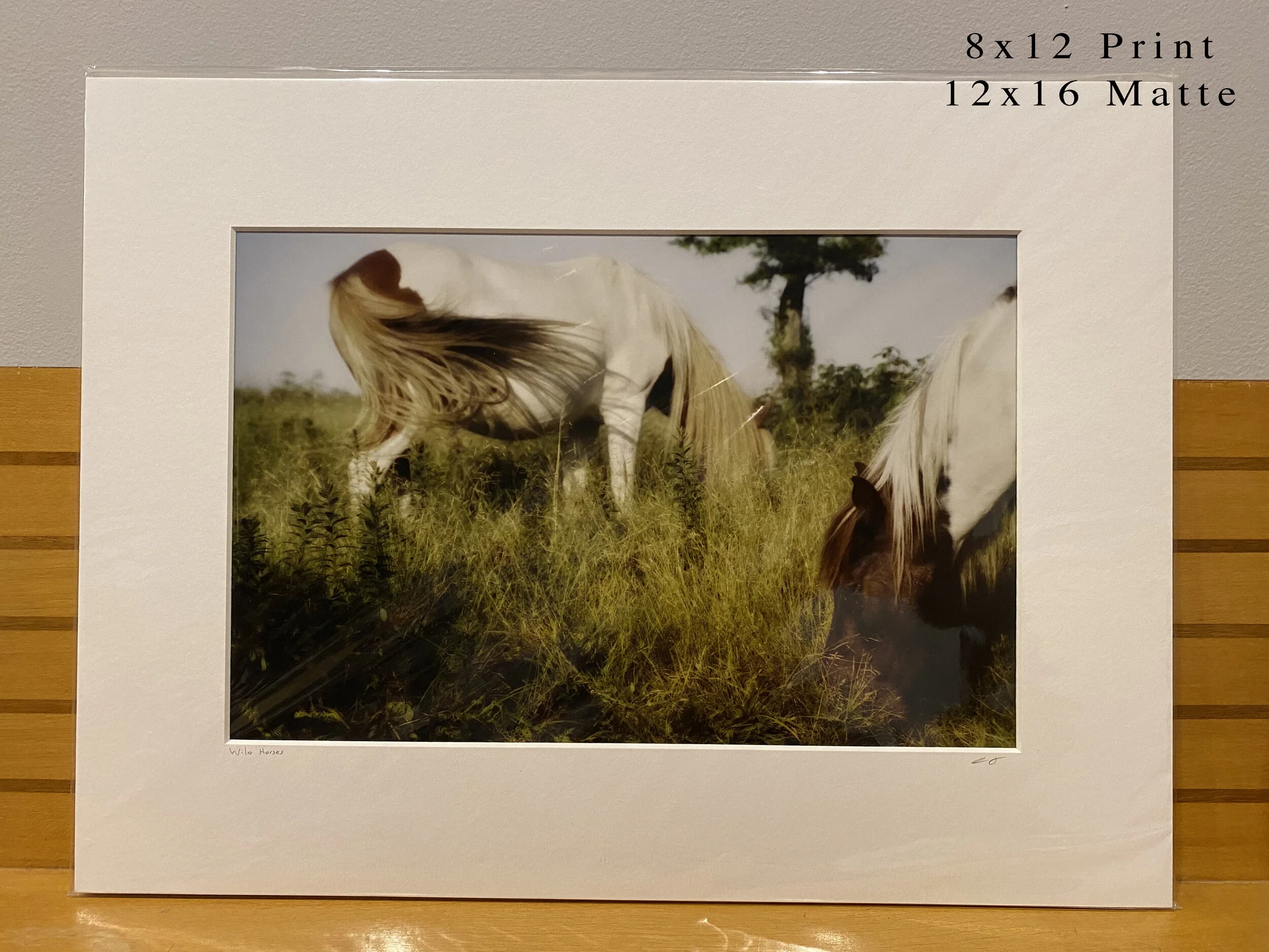 080 - 8x12(0036).JPG