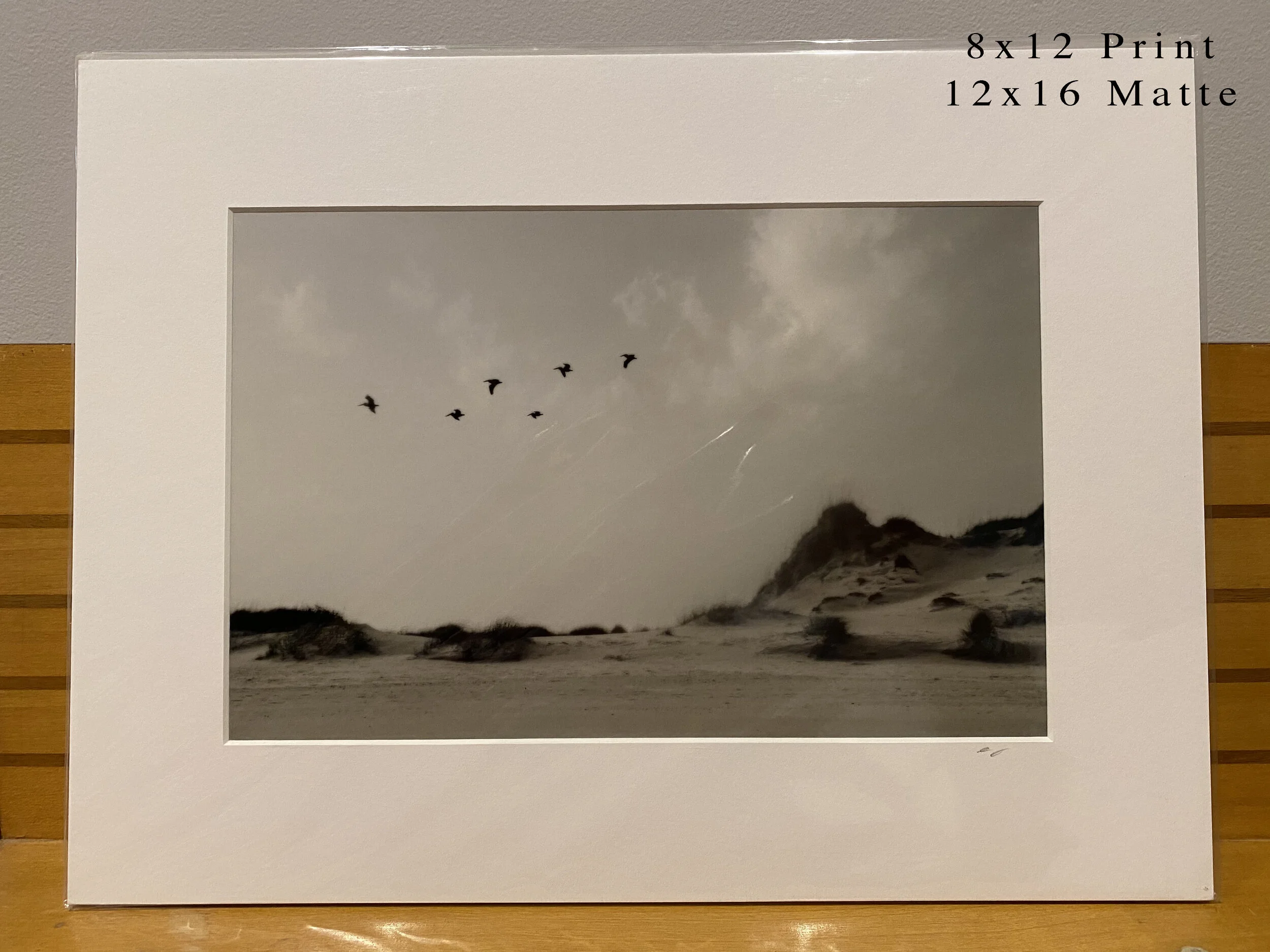 090 - 8x12(0008).JPG