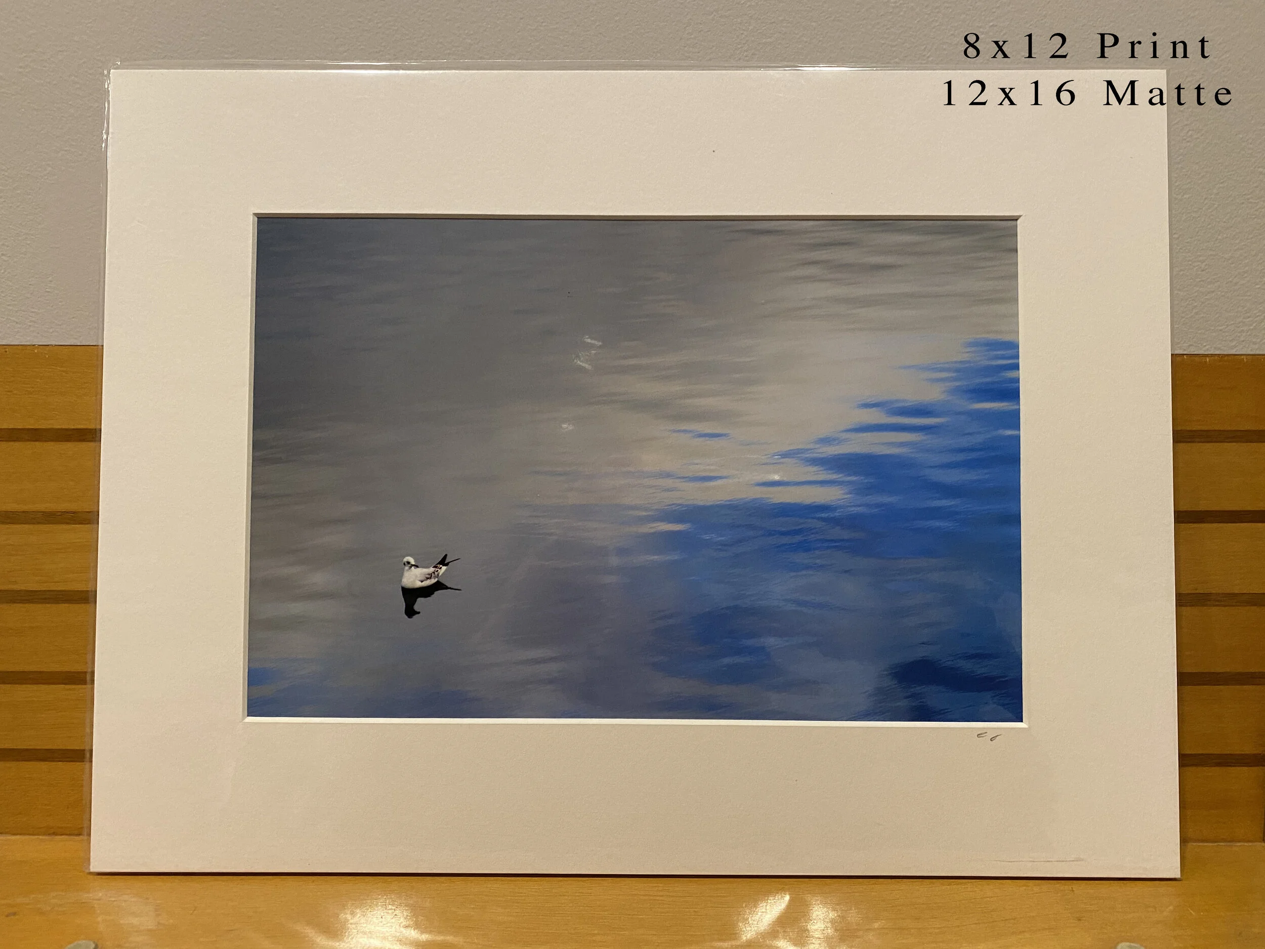 118 - 8x12(0080).JPG