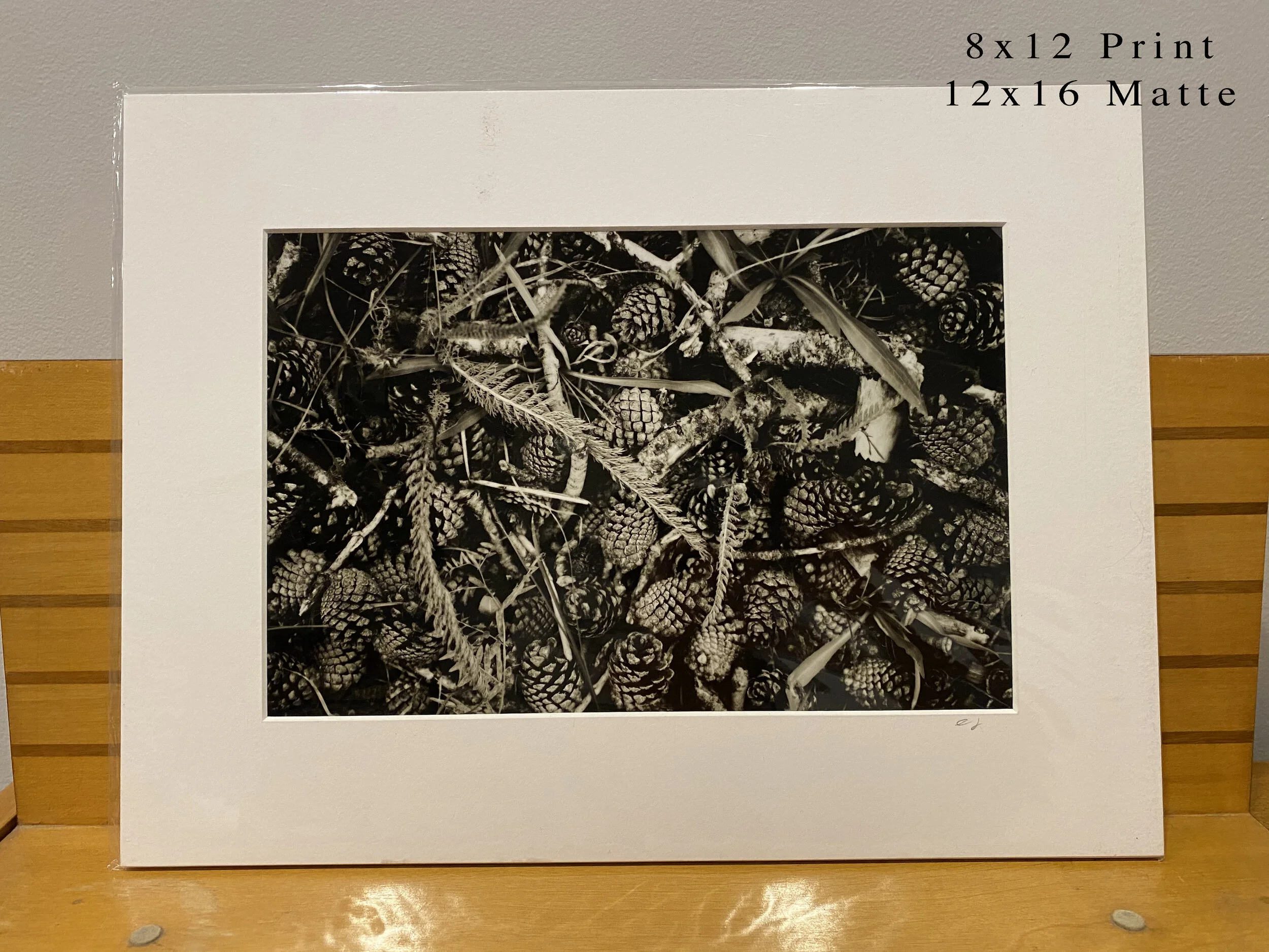 138 - 8x12(0112).JPG