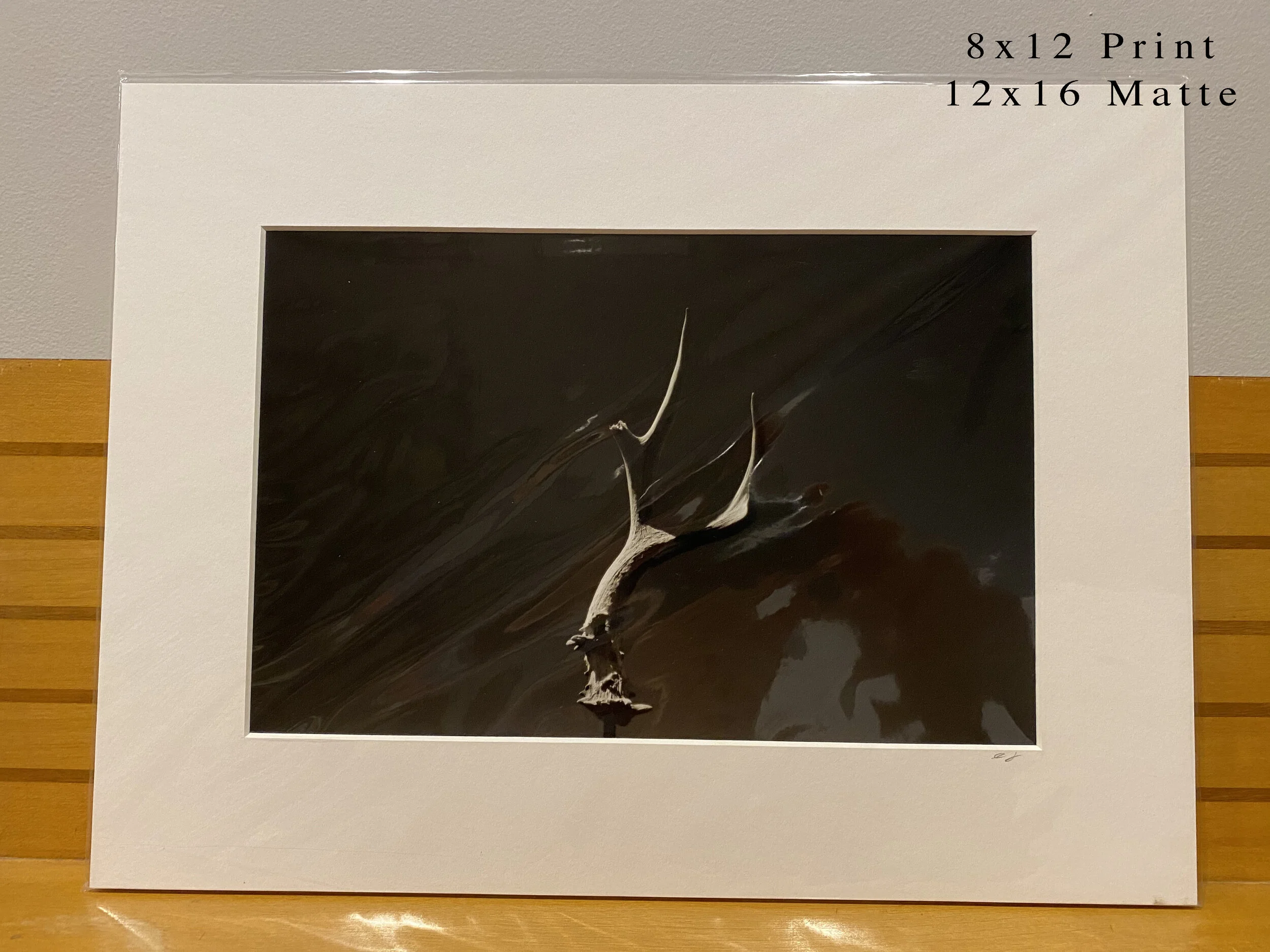 176 - 8x12(0058).JPG