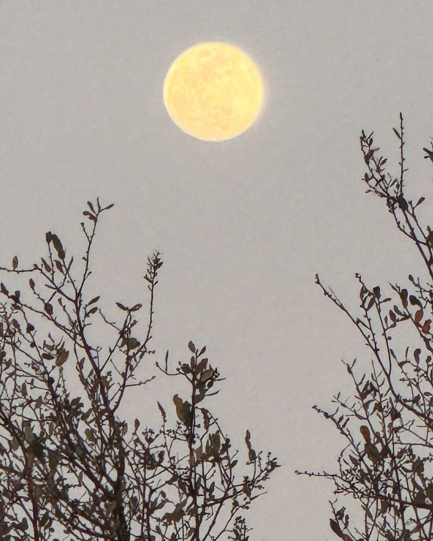 Thank you @luckreunion for a memorable experience! Special thanks to @marilu_kandi , @sroudebush @kathye__ for guiding me and hanging out with me at Luck