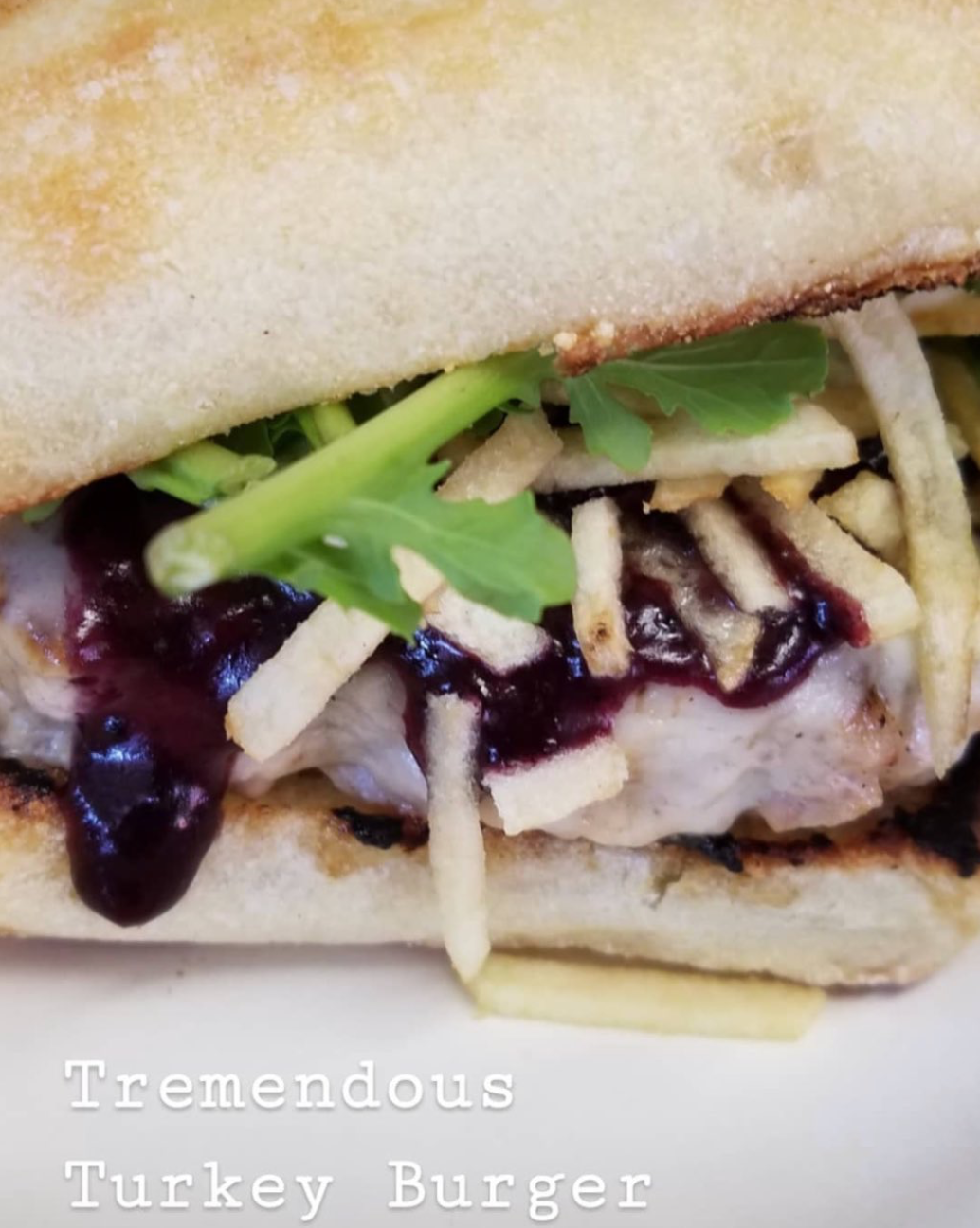 Terrific Turkey Burger