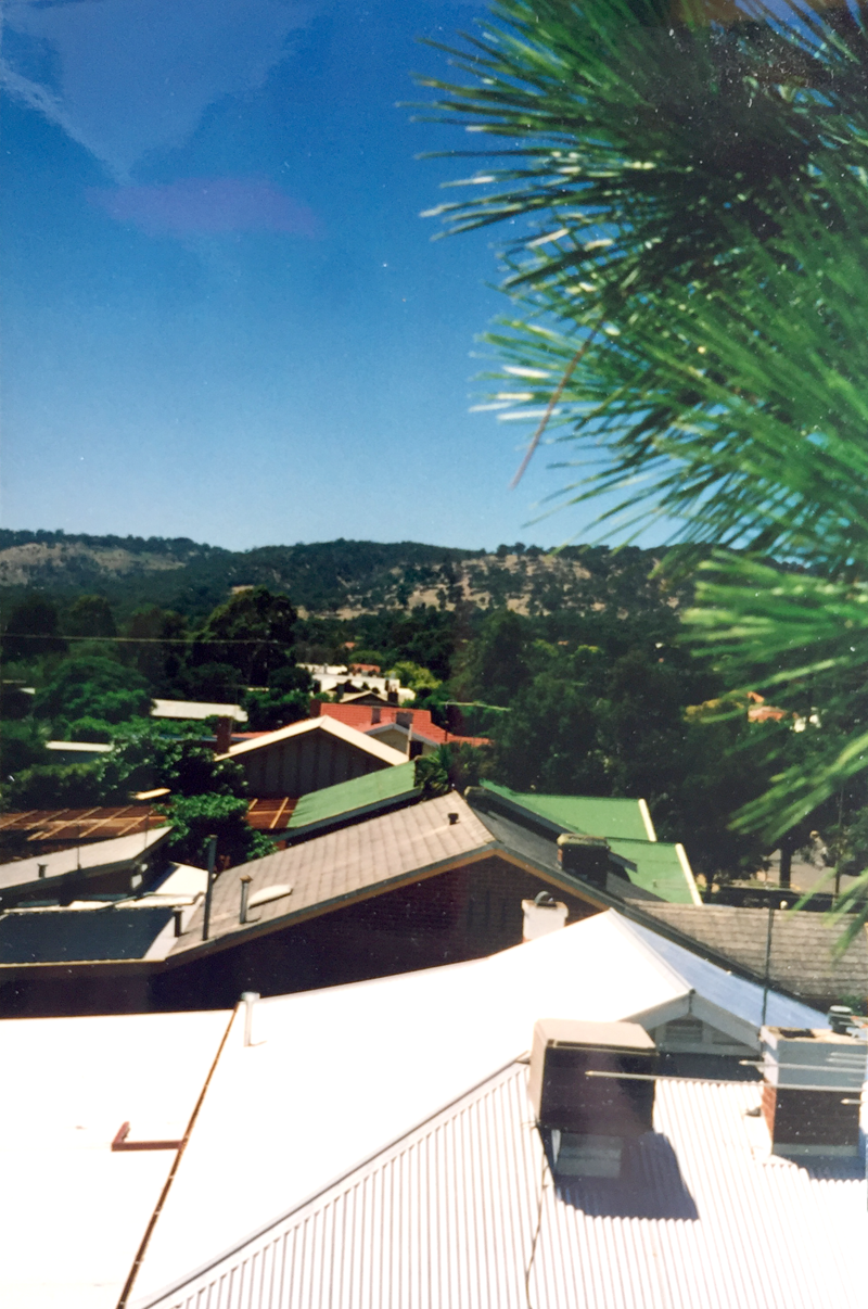 I may have spent more time above the roof-line of our house than my parents were aware of… My children will never see this photo.