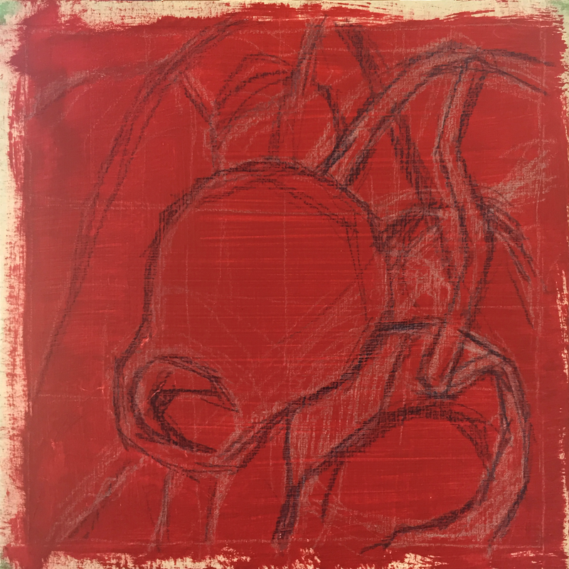 Gumnut#1_process1.png