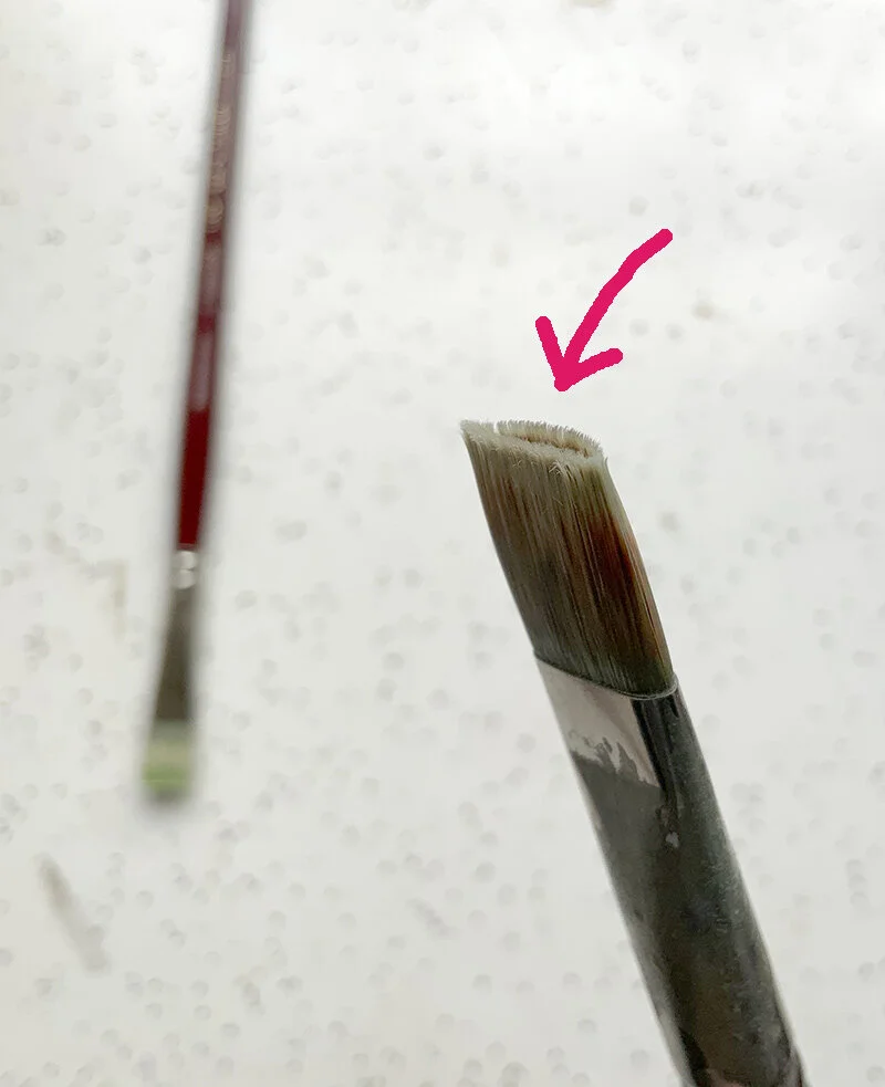 After about six weeks, the fibres get fuzzy and the bristles start parting.