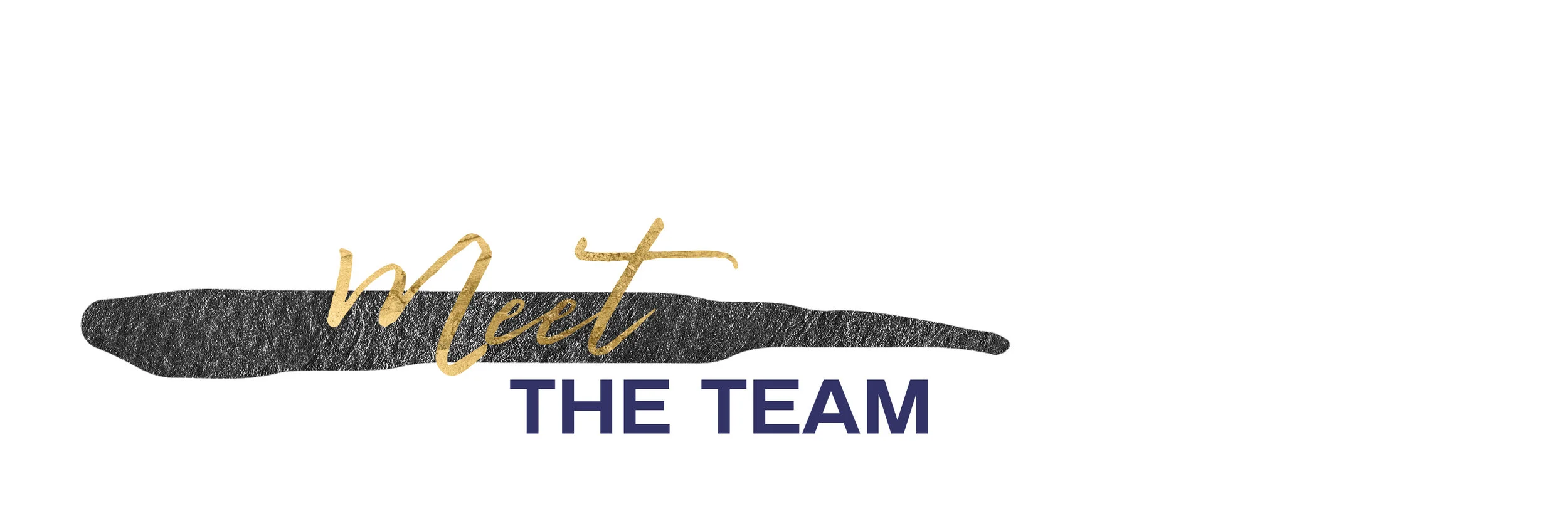 MEETteamBANNER.jpg