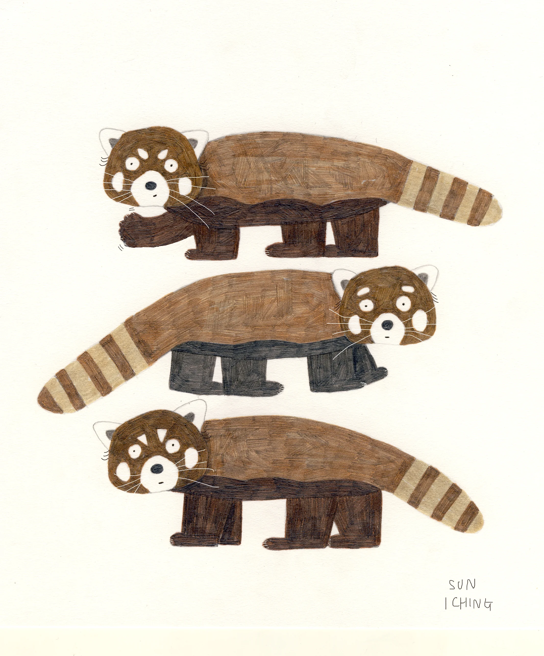 red_panda.jpg
