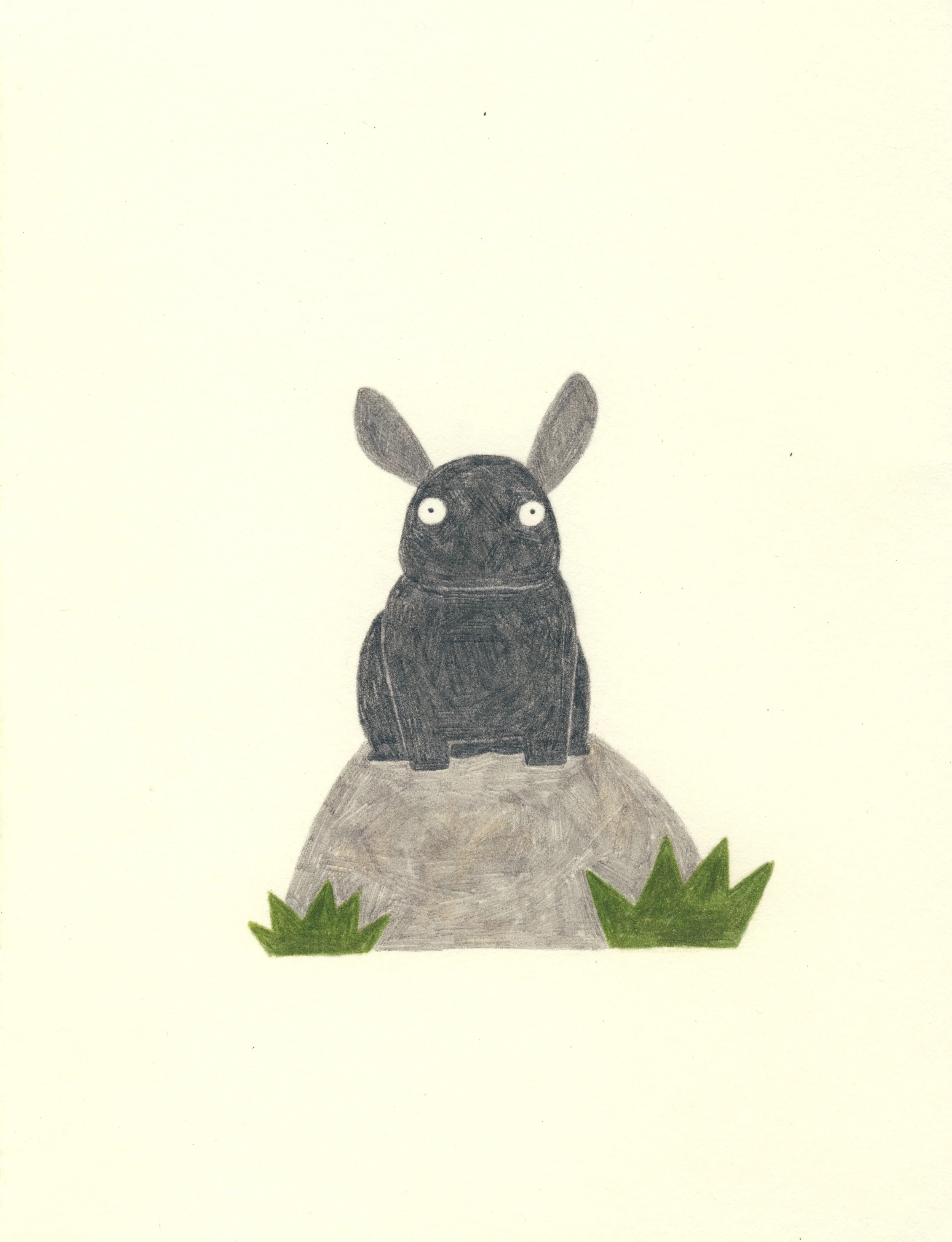 bunny.jpg