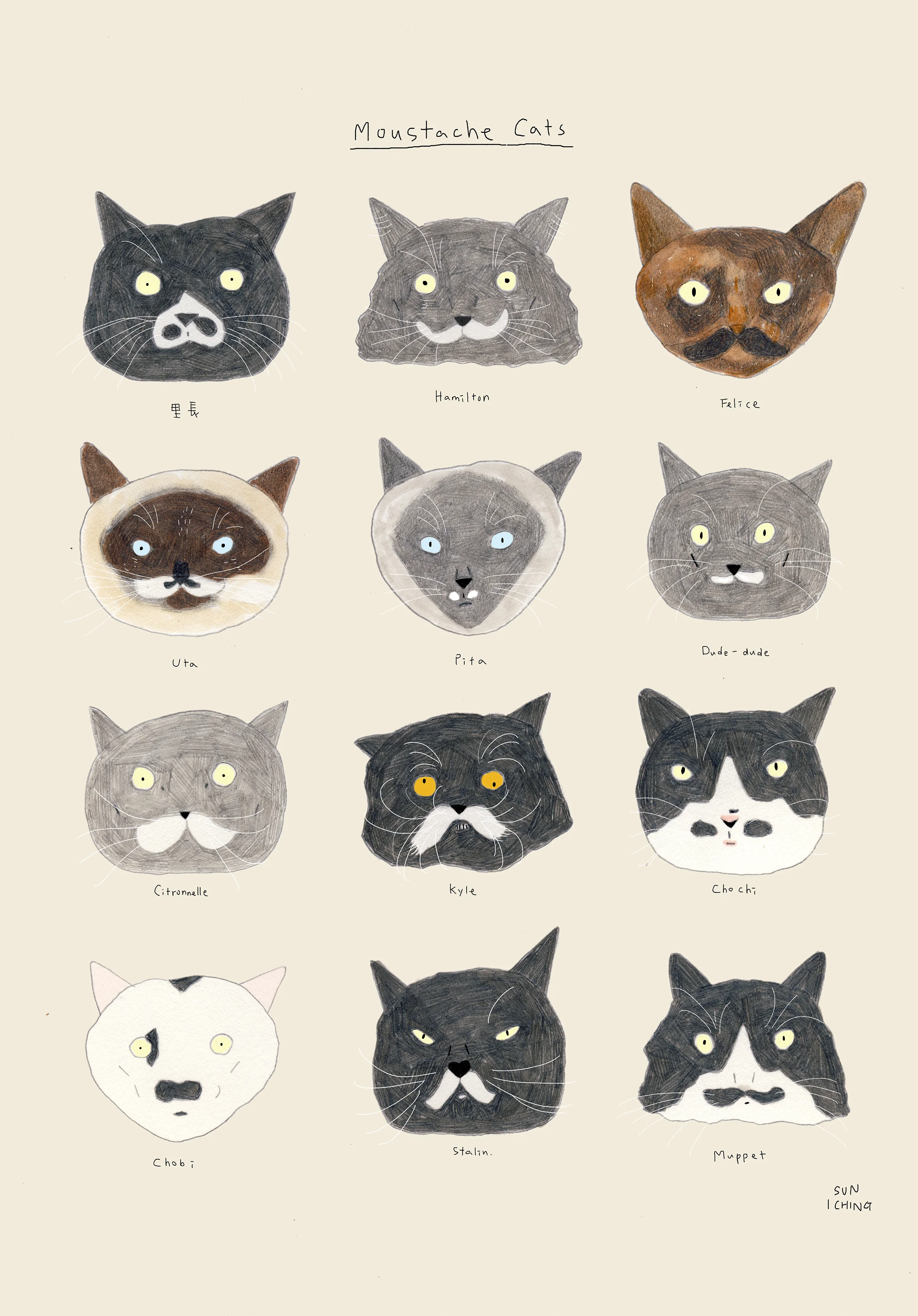 mustache cats.jpg