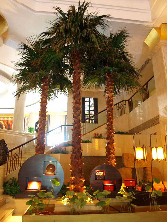 PG333 Washingtonia Palm
