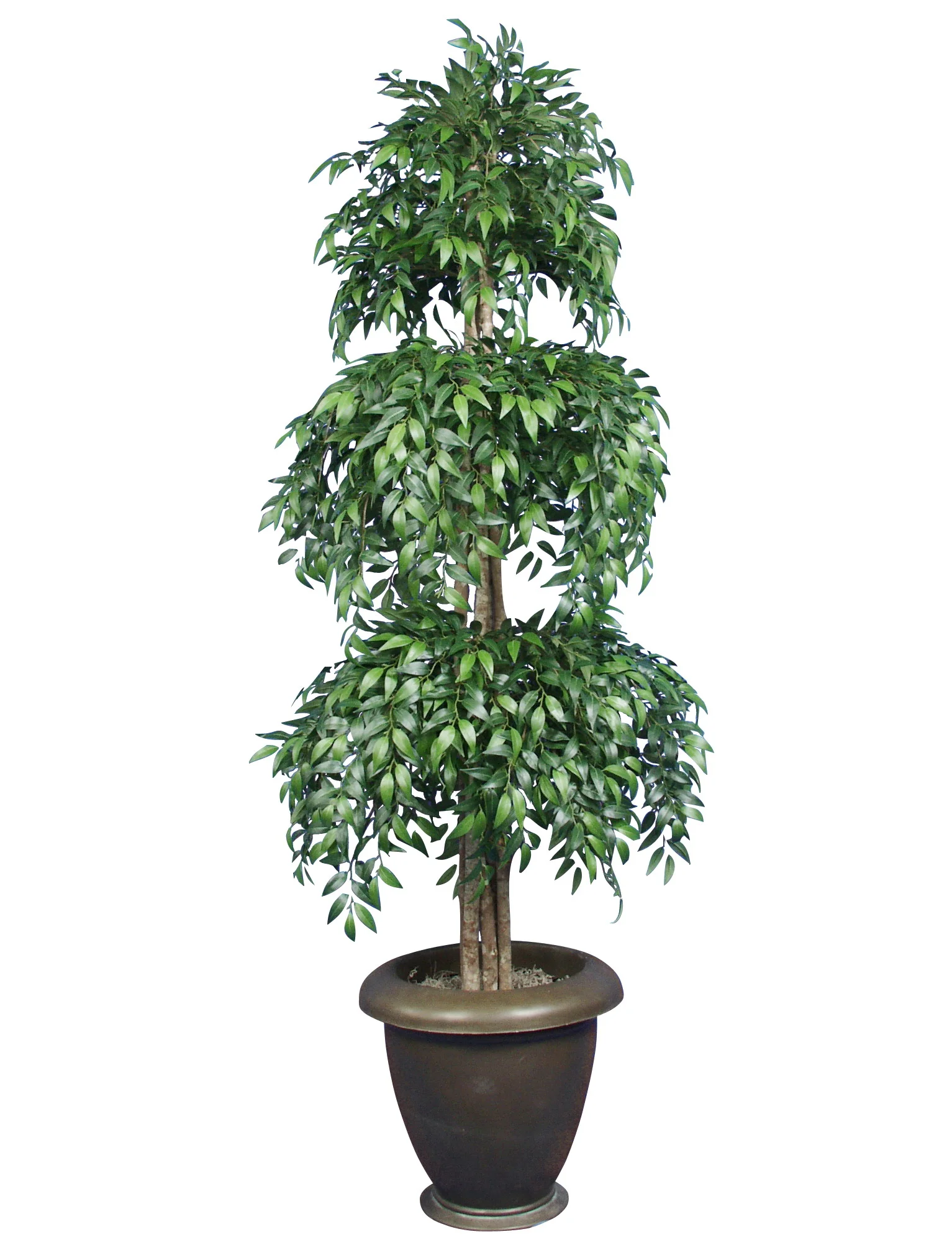 TPT 1109- Smilax Topiary