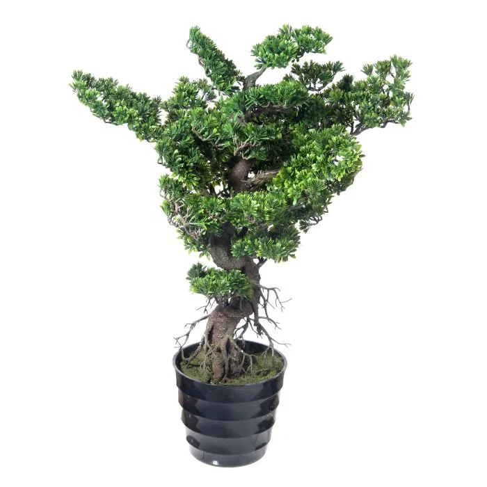 Bonsai
