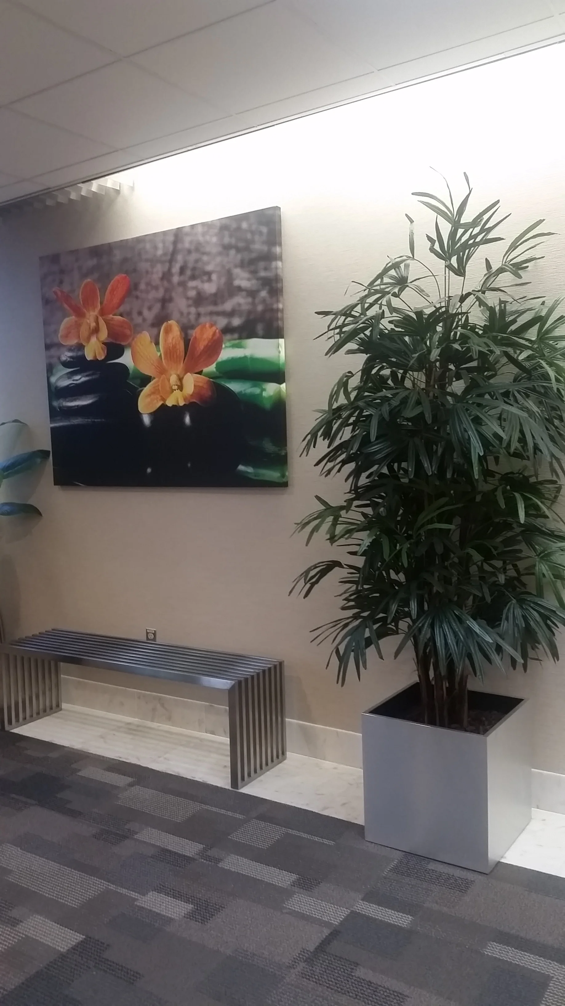 Surgical office Smithtown NY