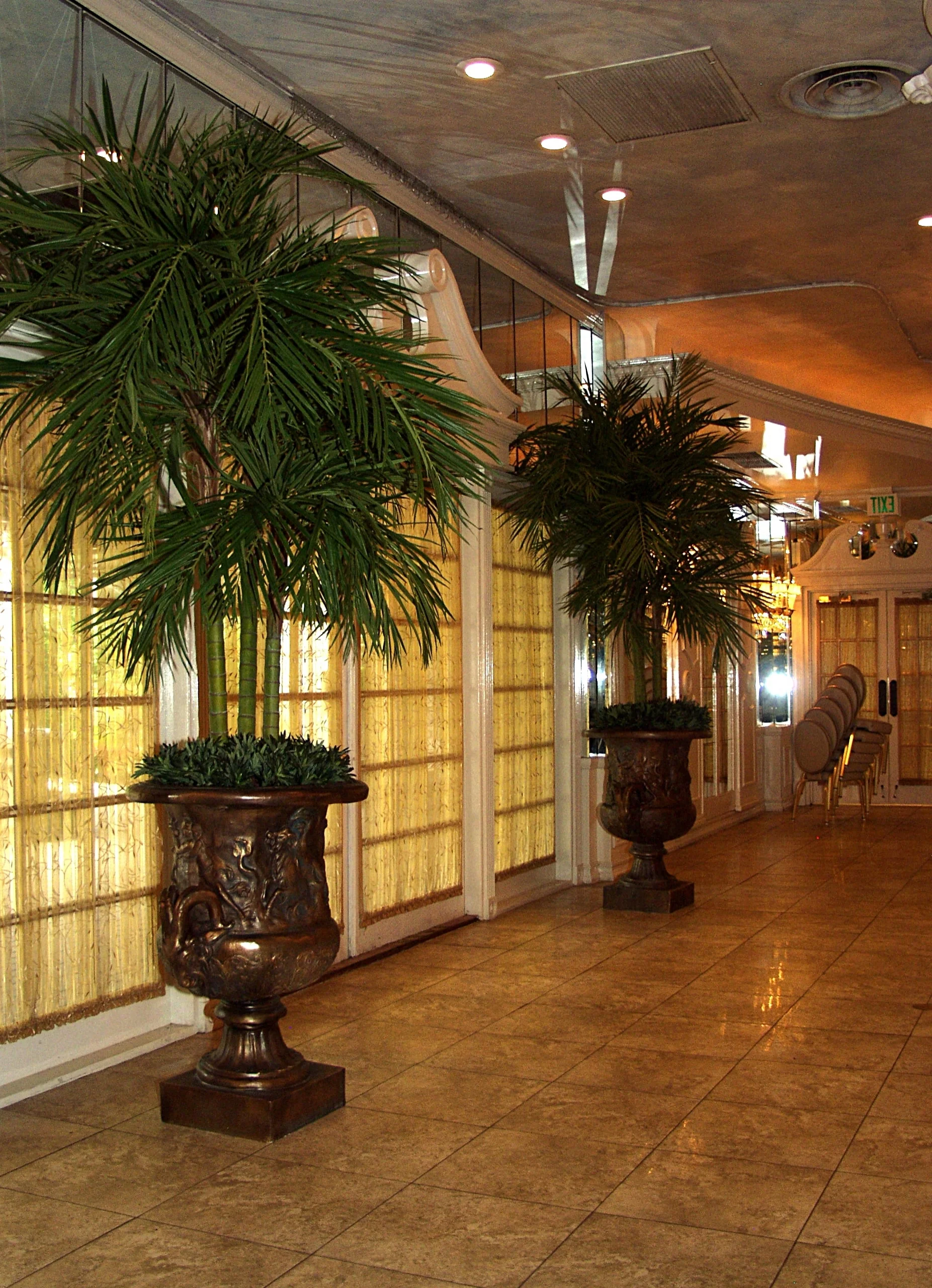 SILK TREES