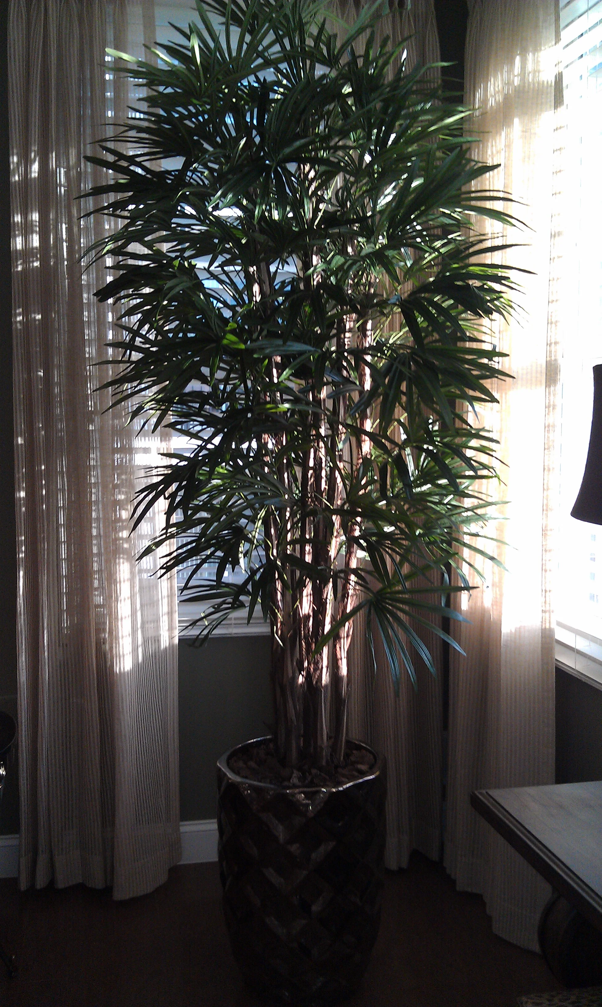 Condo Residence Westbury NY