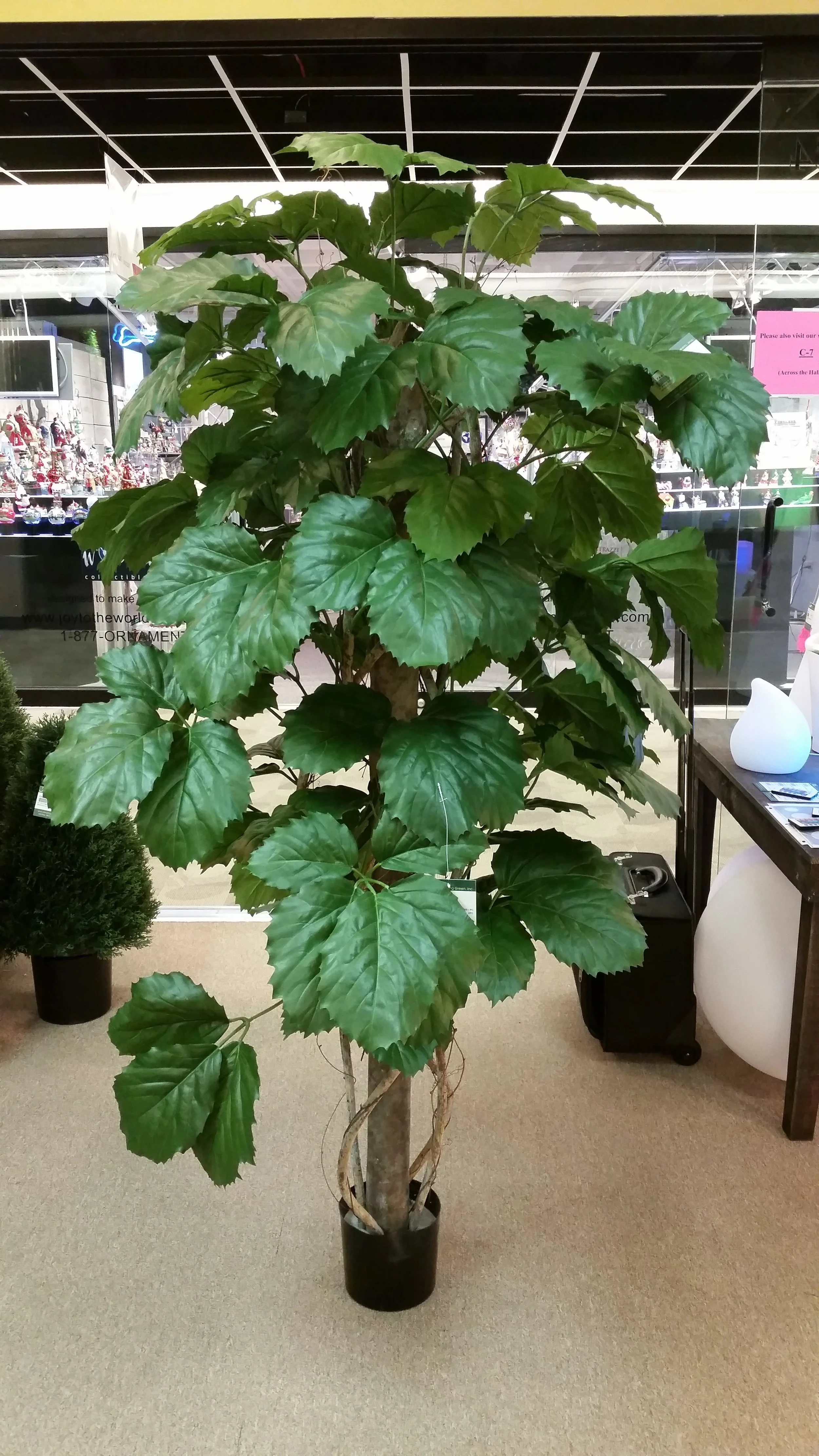Giant Bread Leaf
