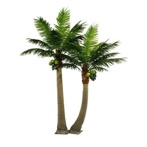 PG501 Coco Palm