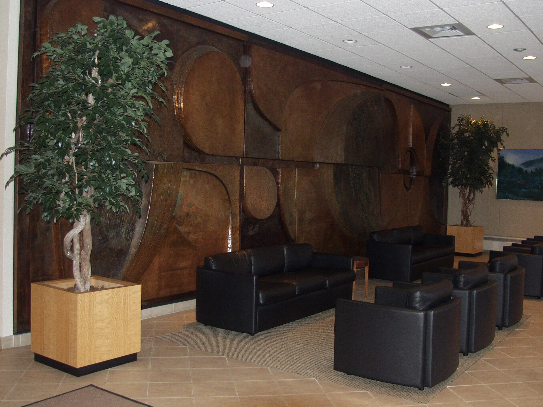 TCM 0021- Ficus Tree