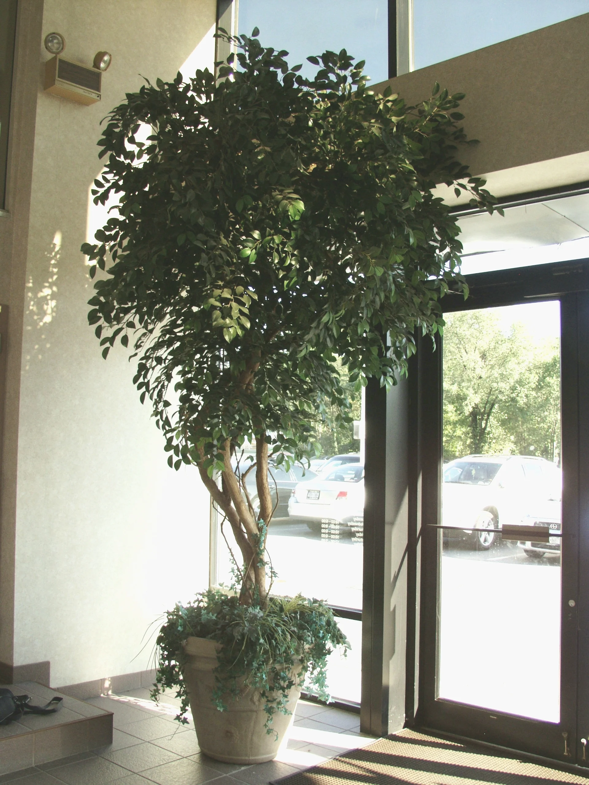 Bldg lobby Manhasset NY
