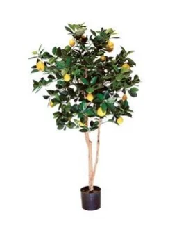 Lemon Leaf