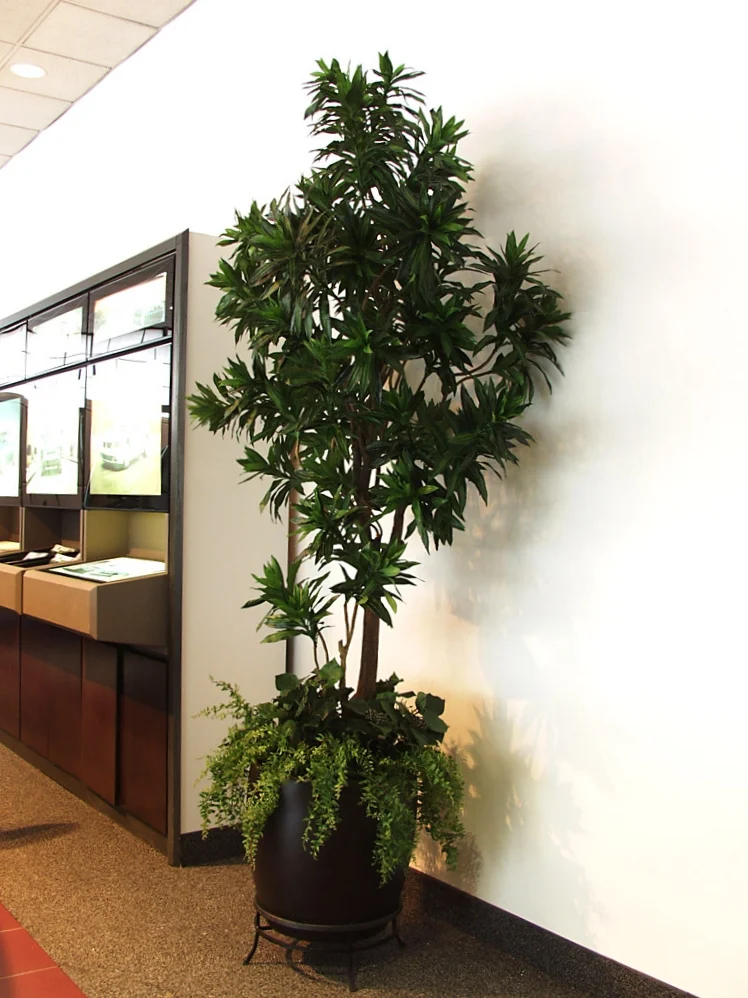 Dealership Paramus NJ