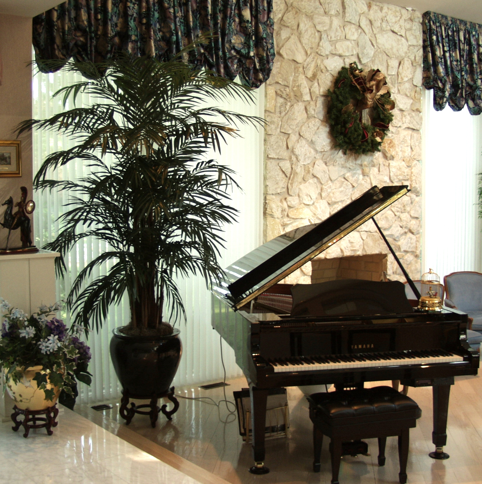 PL490 Areca Palm