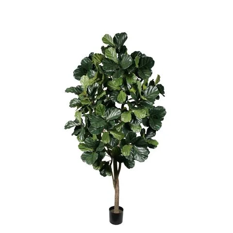8' PTD FIDDLE LEAF FIG TREEP1792-8.jpeg