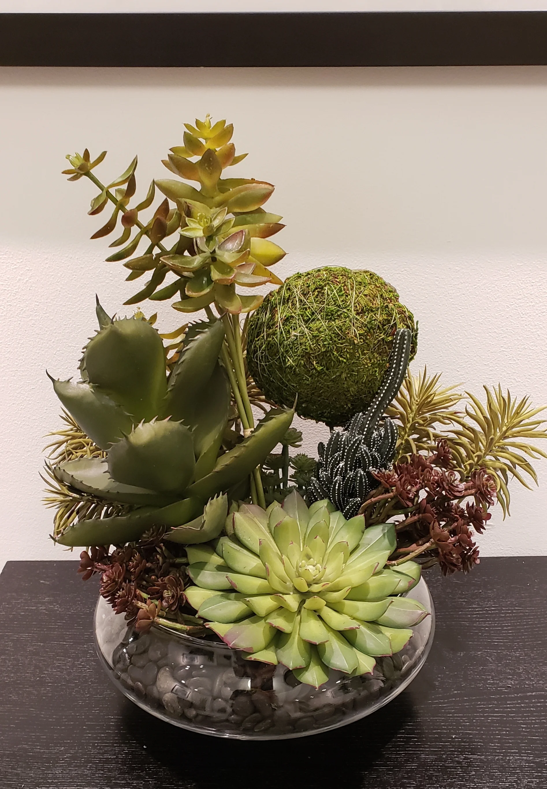 Succulent Arrangement