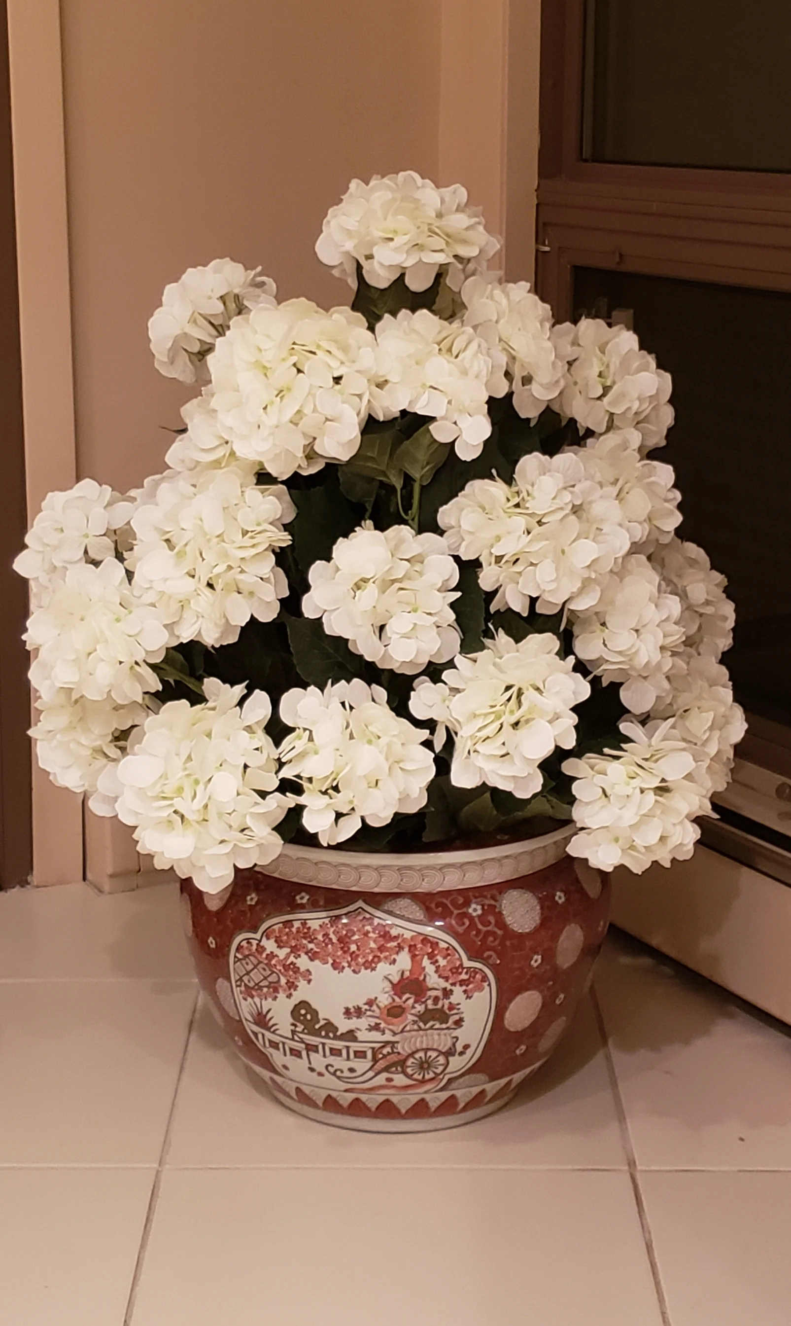 New white Hydrangea
