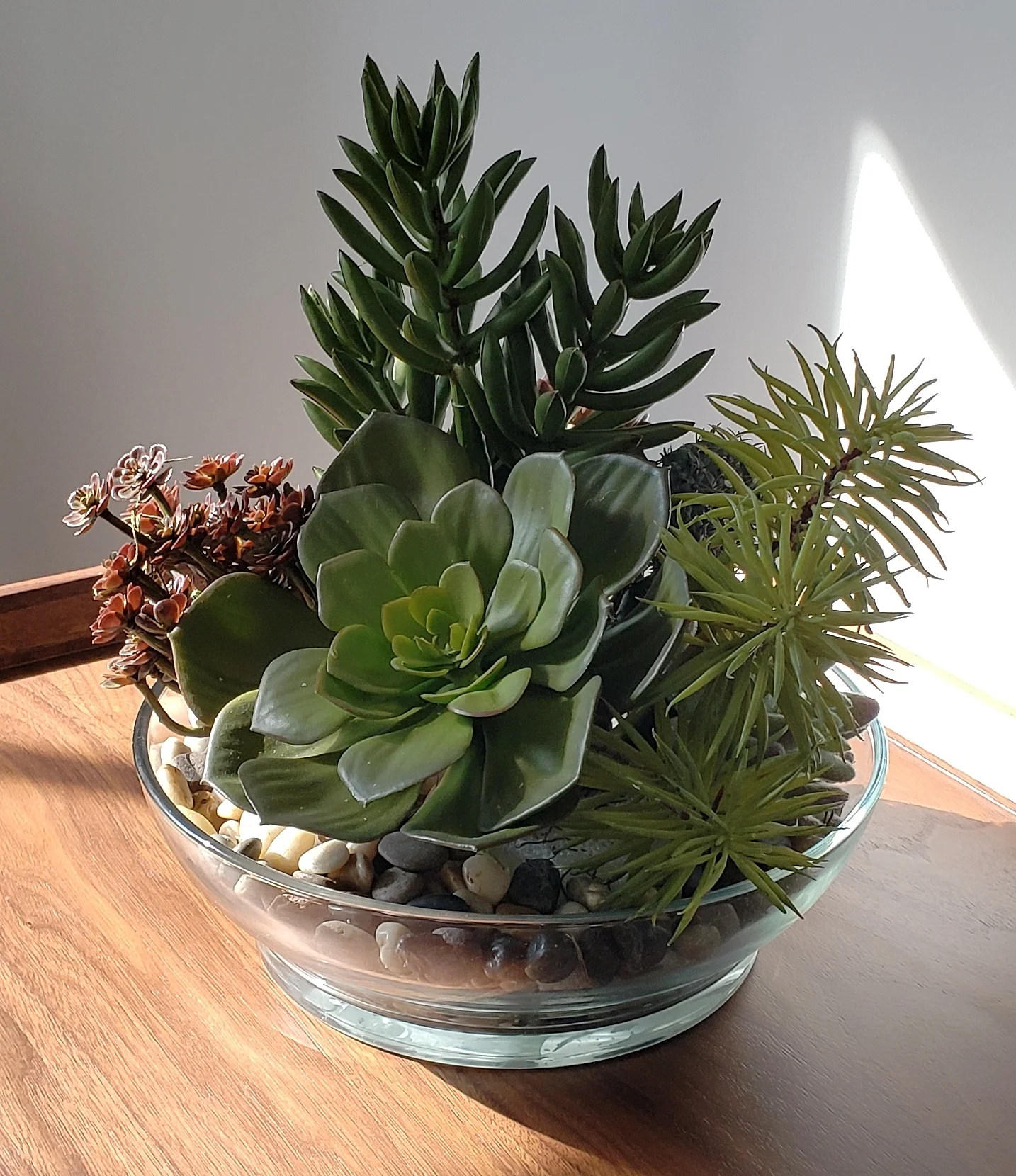 Cactus Garden
