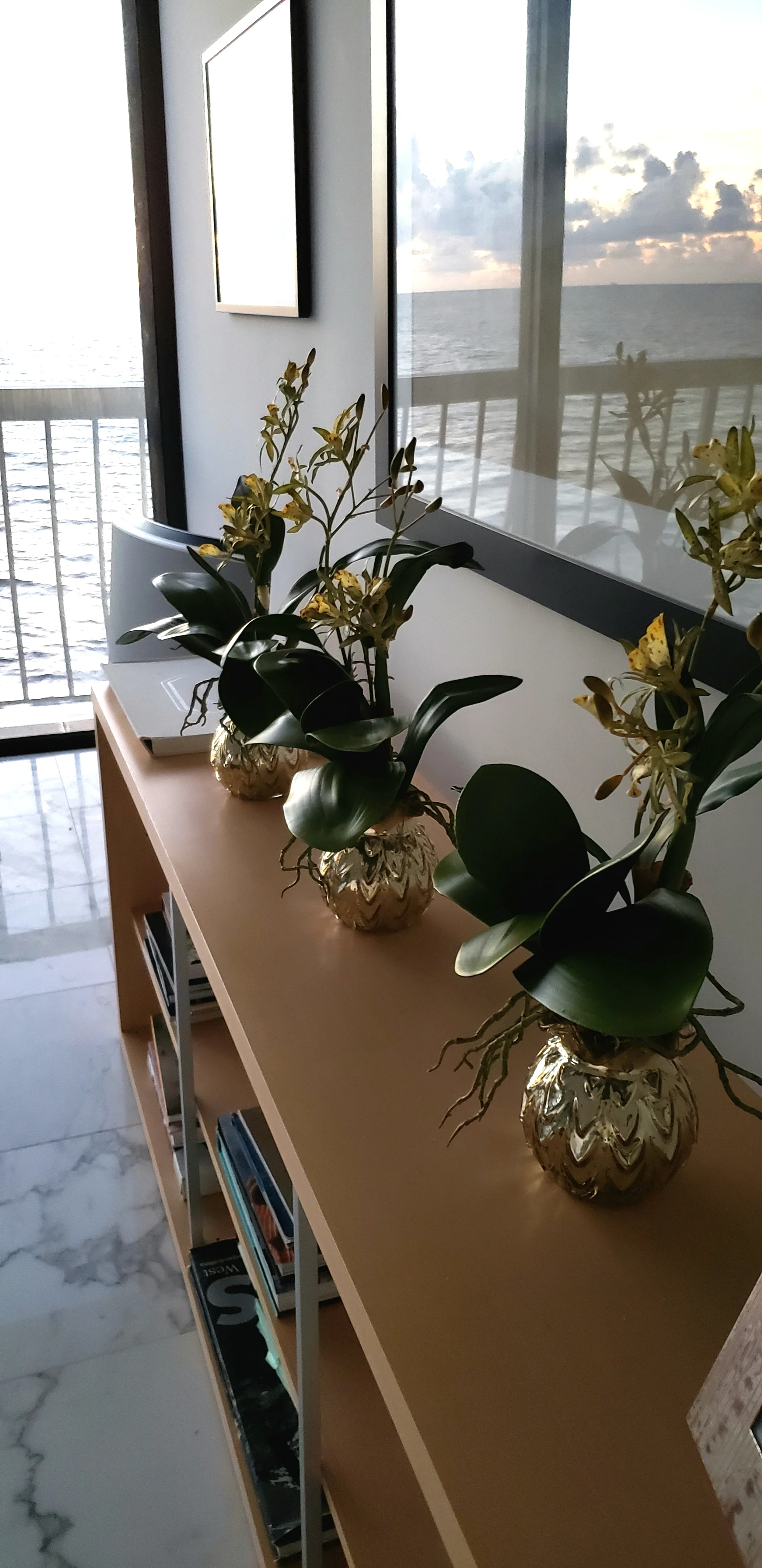 20180917_205319.jpg