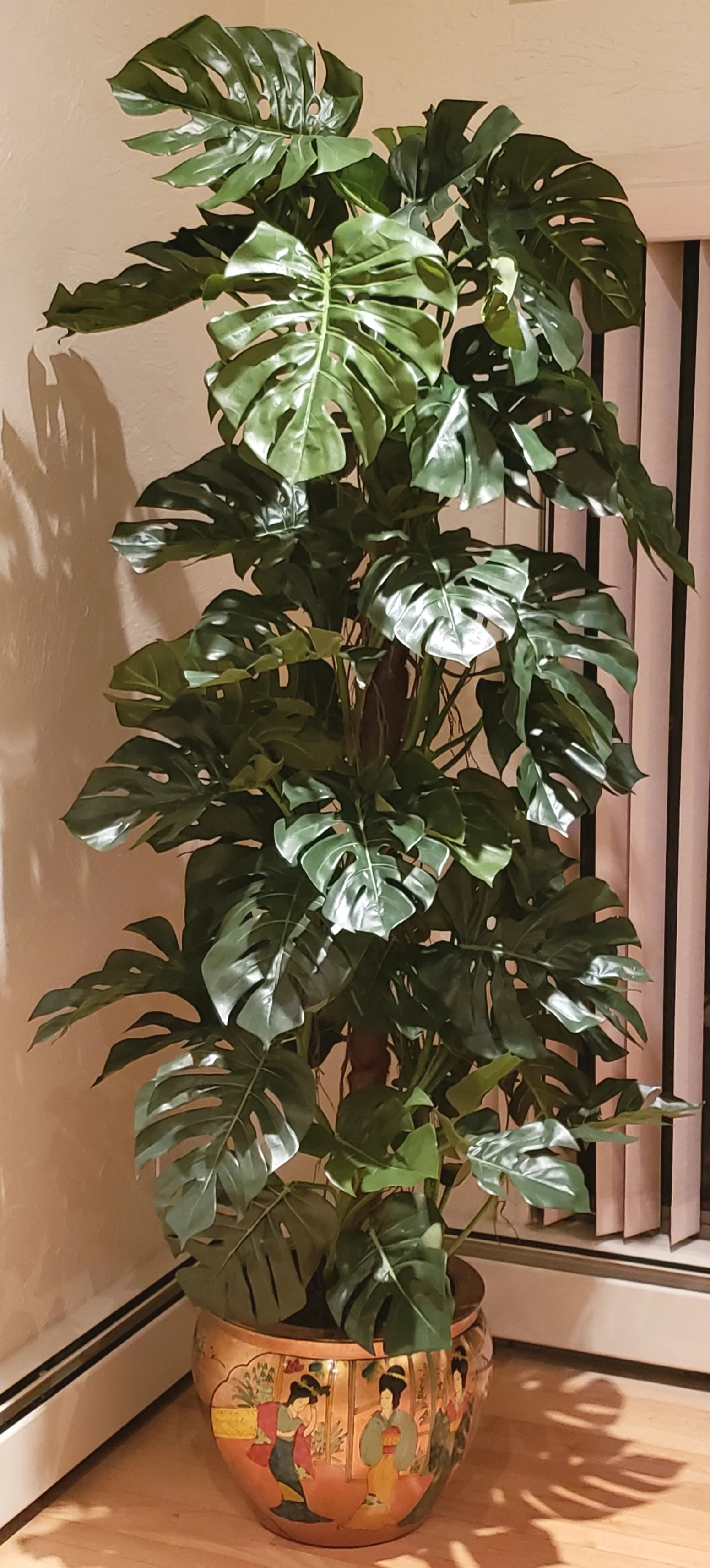 TSP- 2202 Monstera