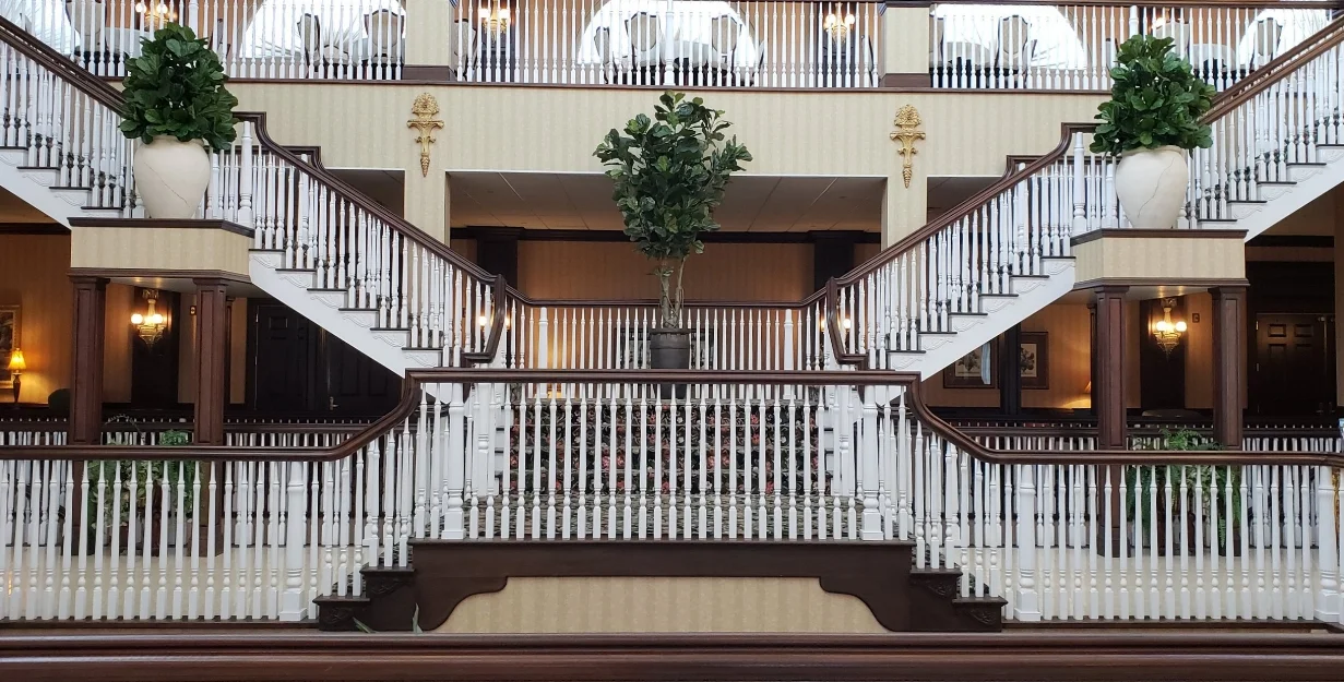 Fiddle Leaf trees in hotel lobby