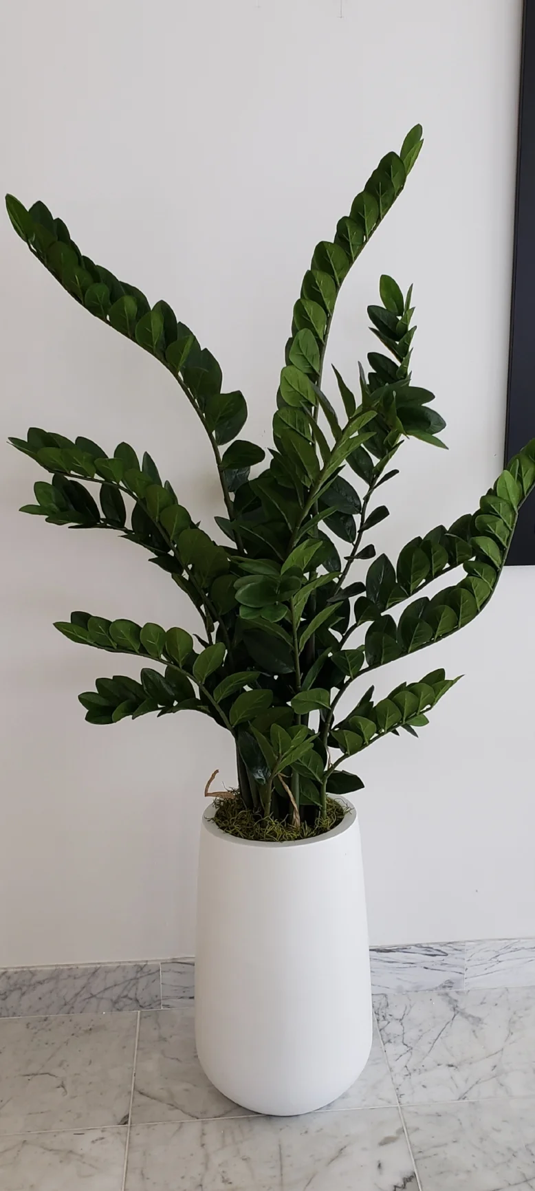 20180903_135723.jpg