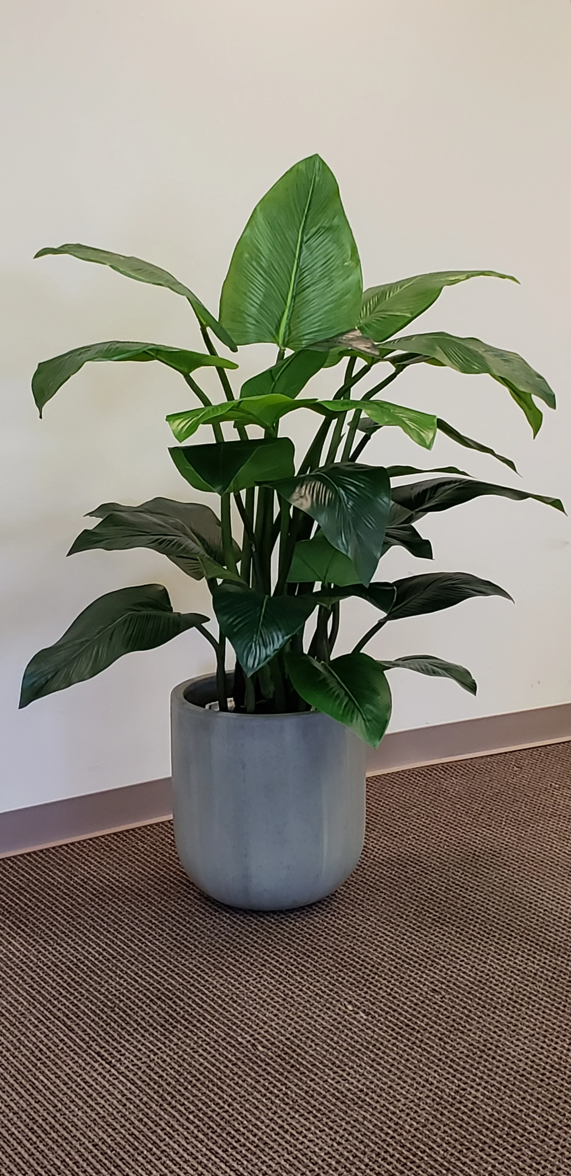 20190629_153601.jpg