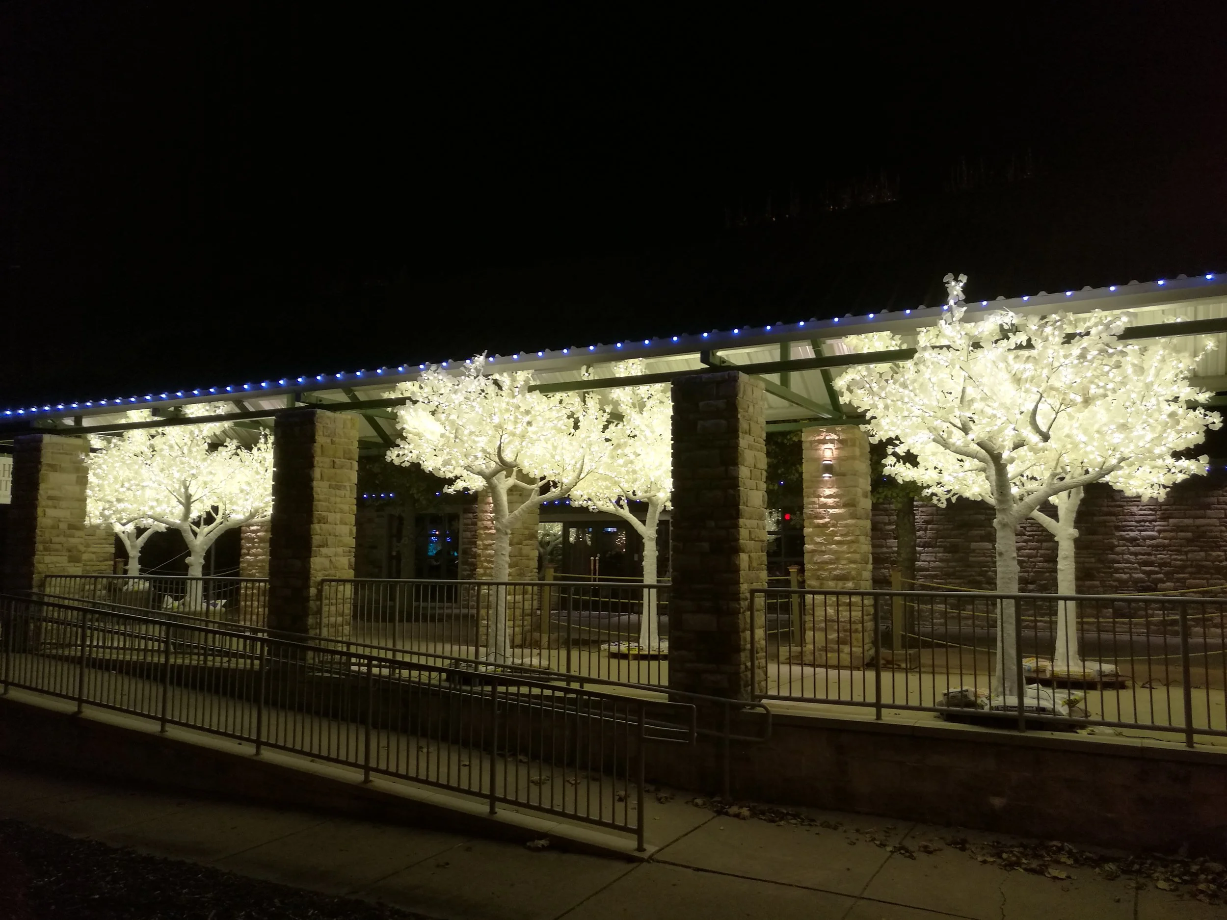 white tree 3.jpg