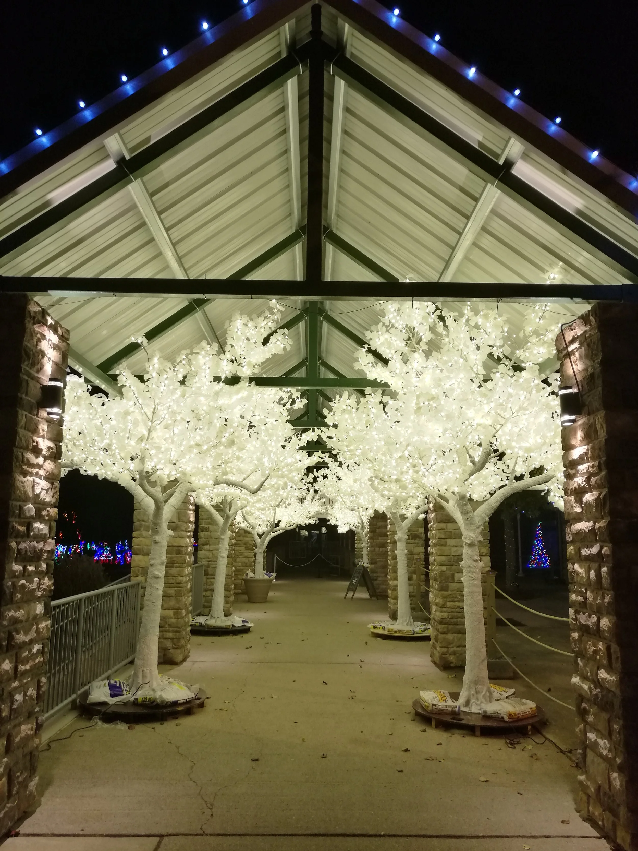 white tree1.jpg